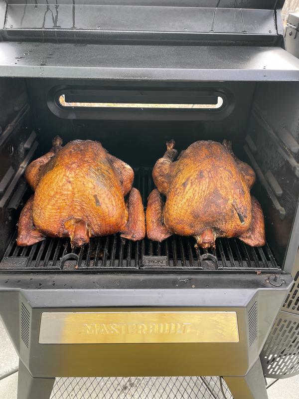 Two full sized turkeys