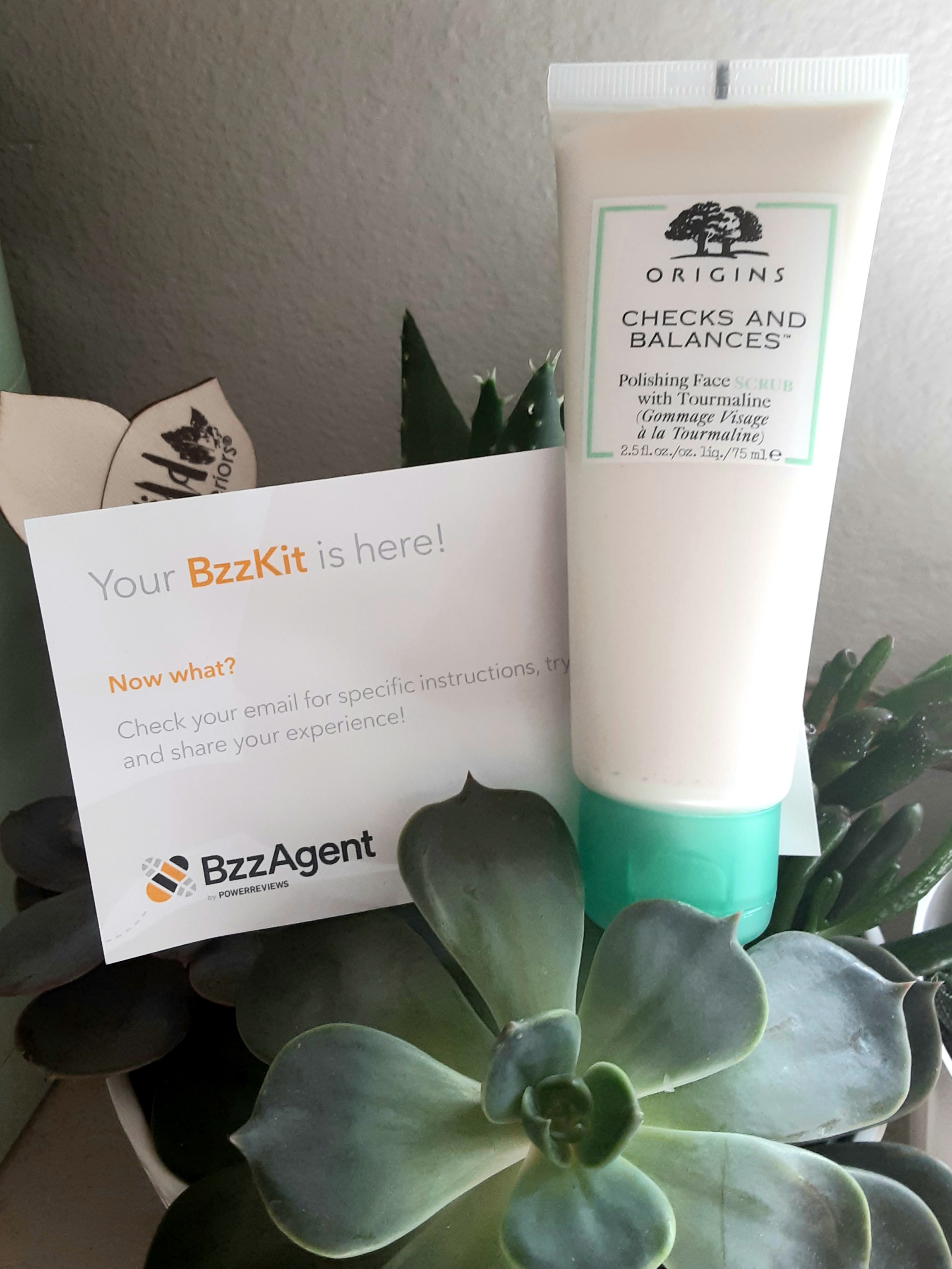 Thank you BzzAgent & Origins!
