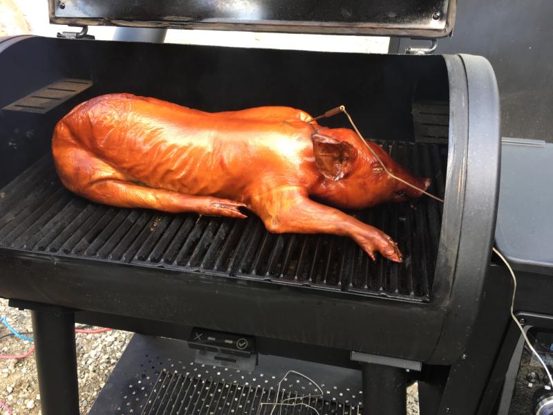 This little piggy...