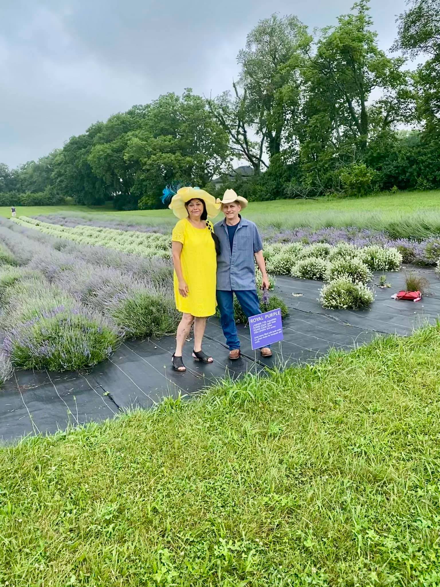 Wearing my Laceys in a Lavender field