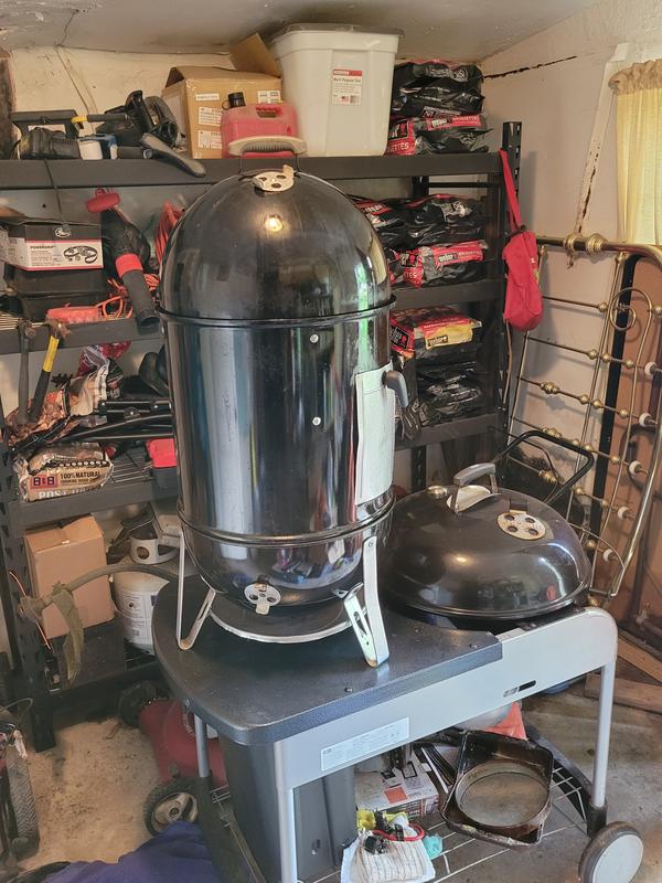 Sitting on top of her older sister's shoulder