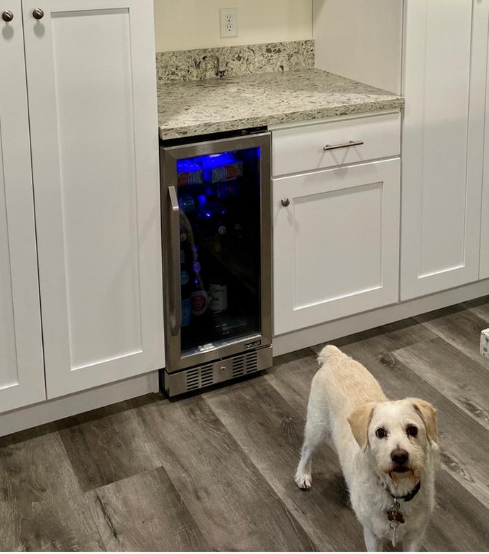 Even my dog likes the new fridge.