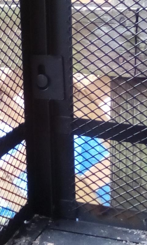 The back catch that would not slide down