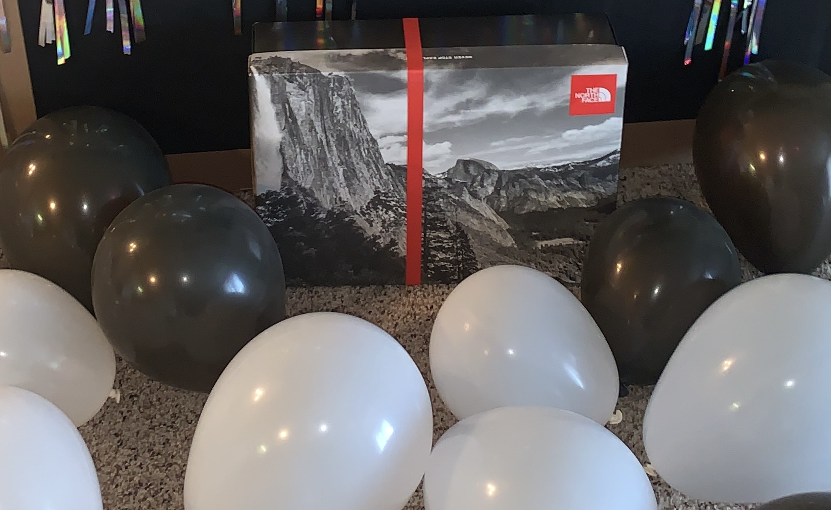 Bought it as a present and it arrived just in time and it looked perfect!