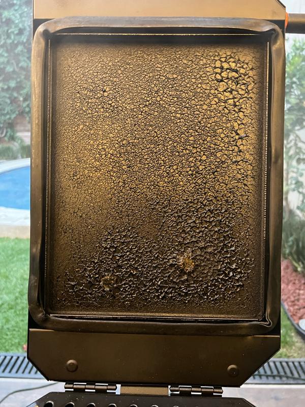 Internal Painting from the Hopper after 3 burns (including the 2 recommended seasonings - Griddle and Grill)