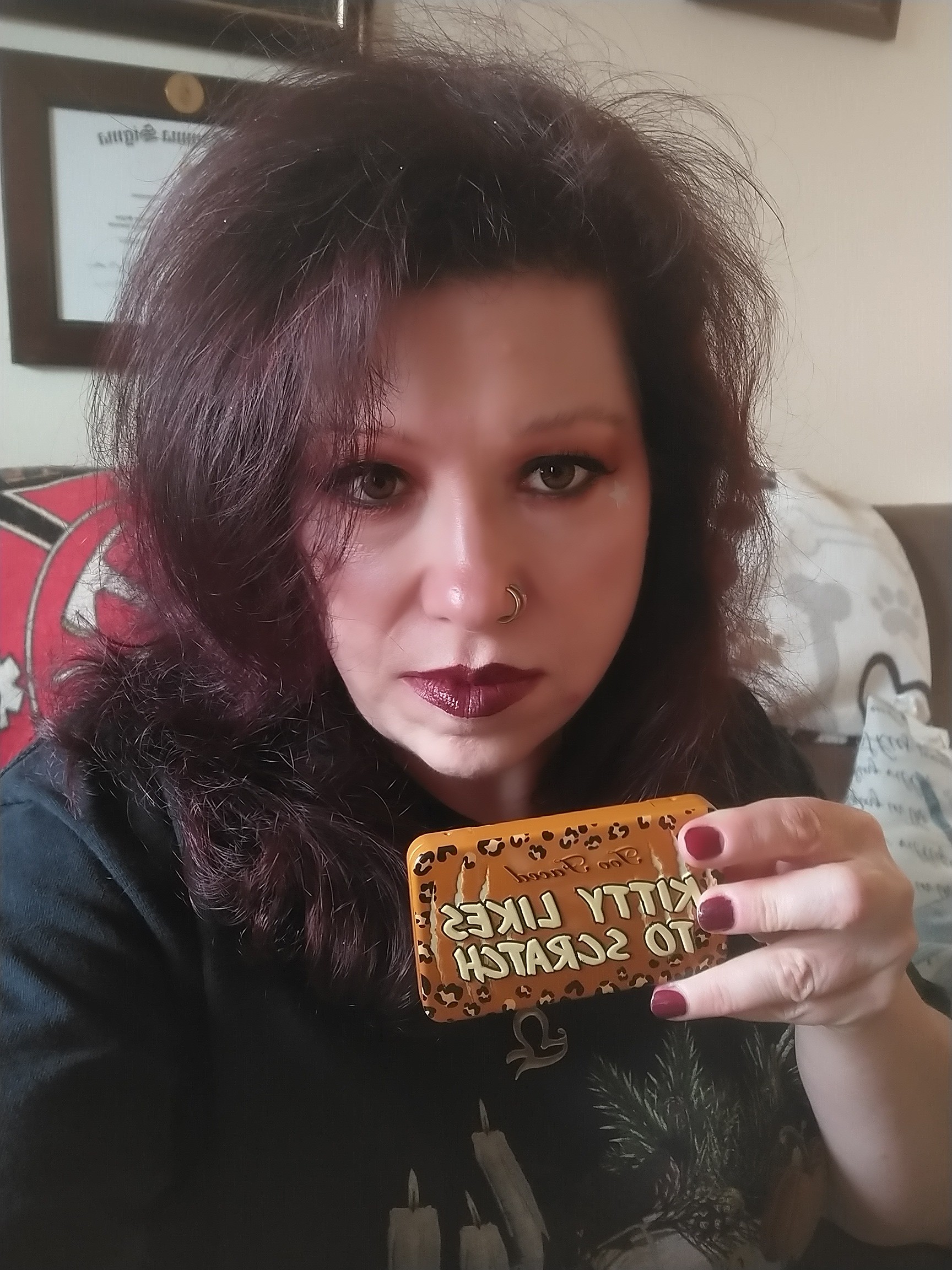 Kitty Likes To Scratch