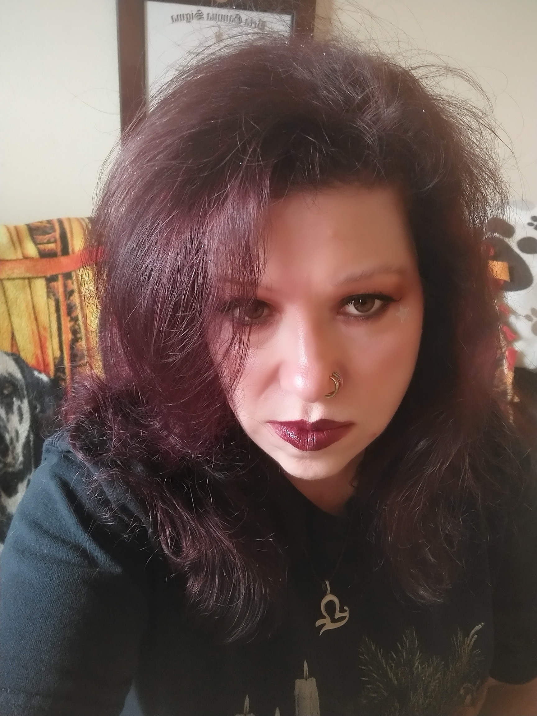 Kitty Likes To Scratch