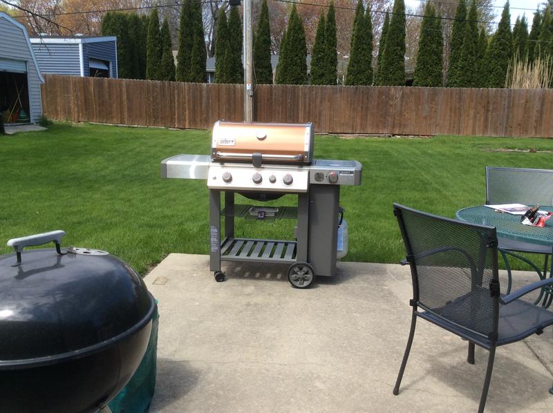 Genesis II SE-330 grill