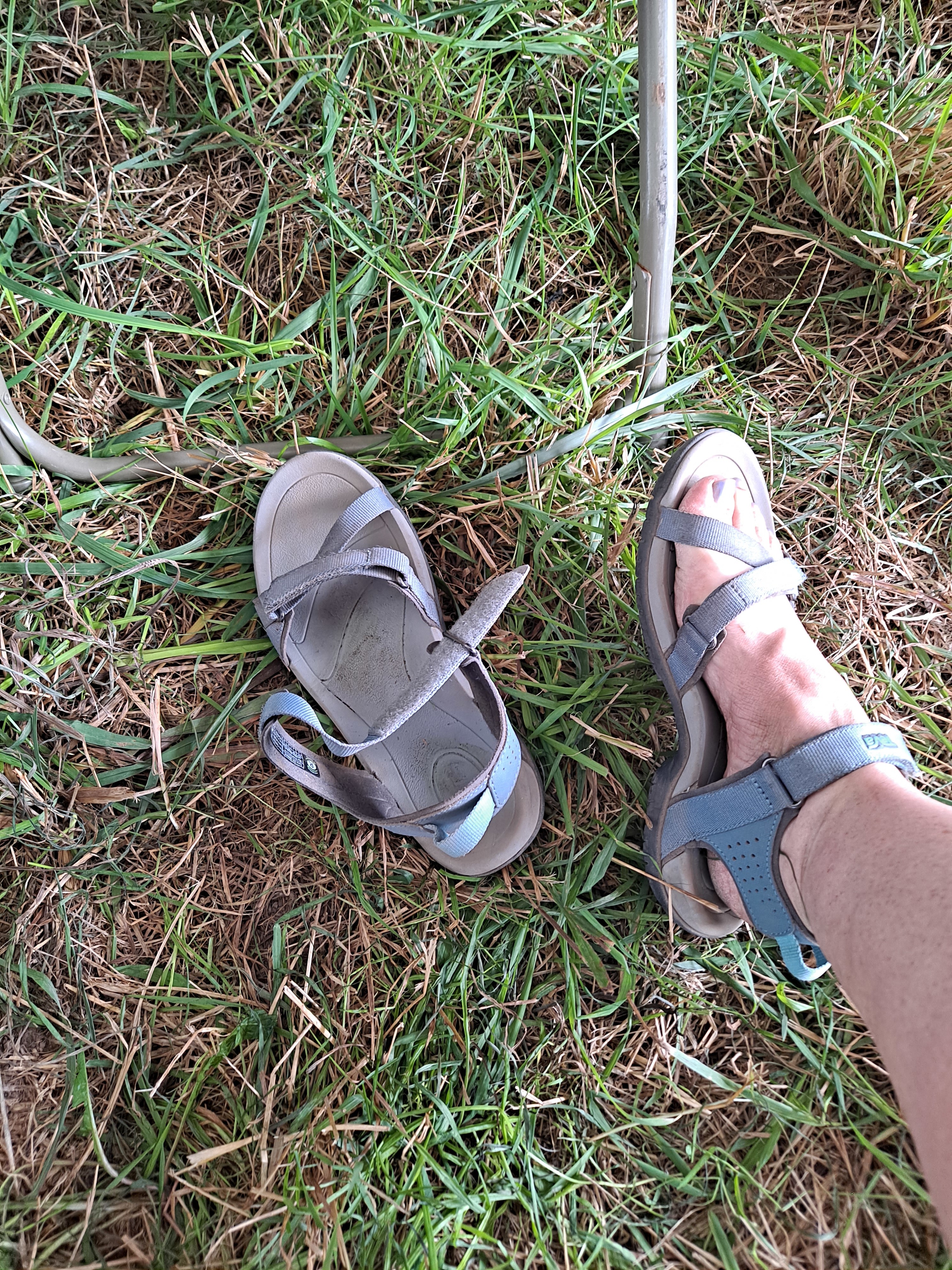 At the dirty festival