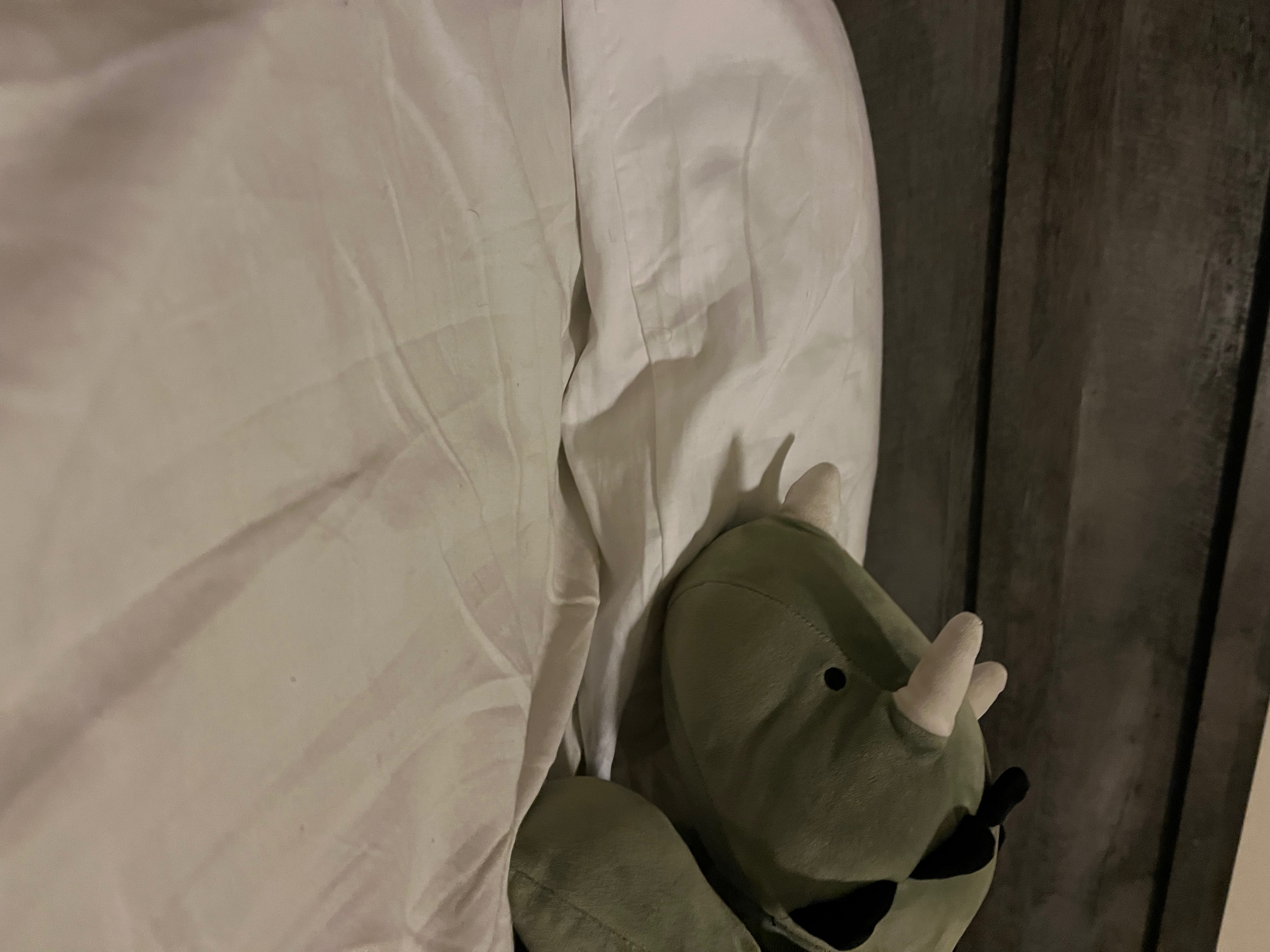 Customer carousel item 1.