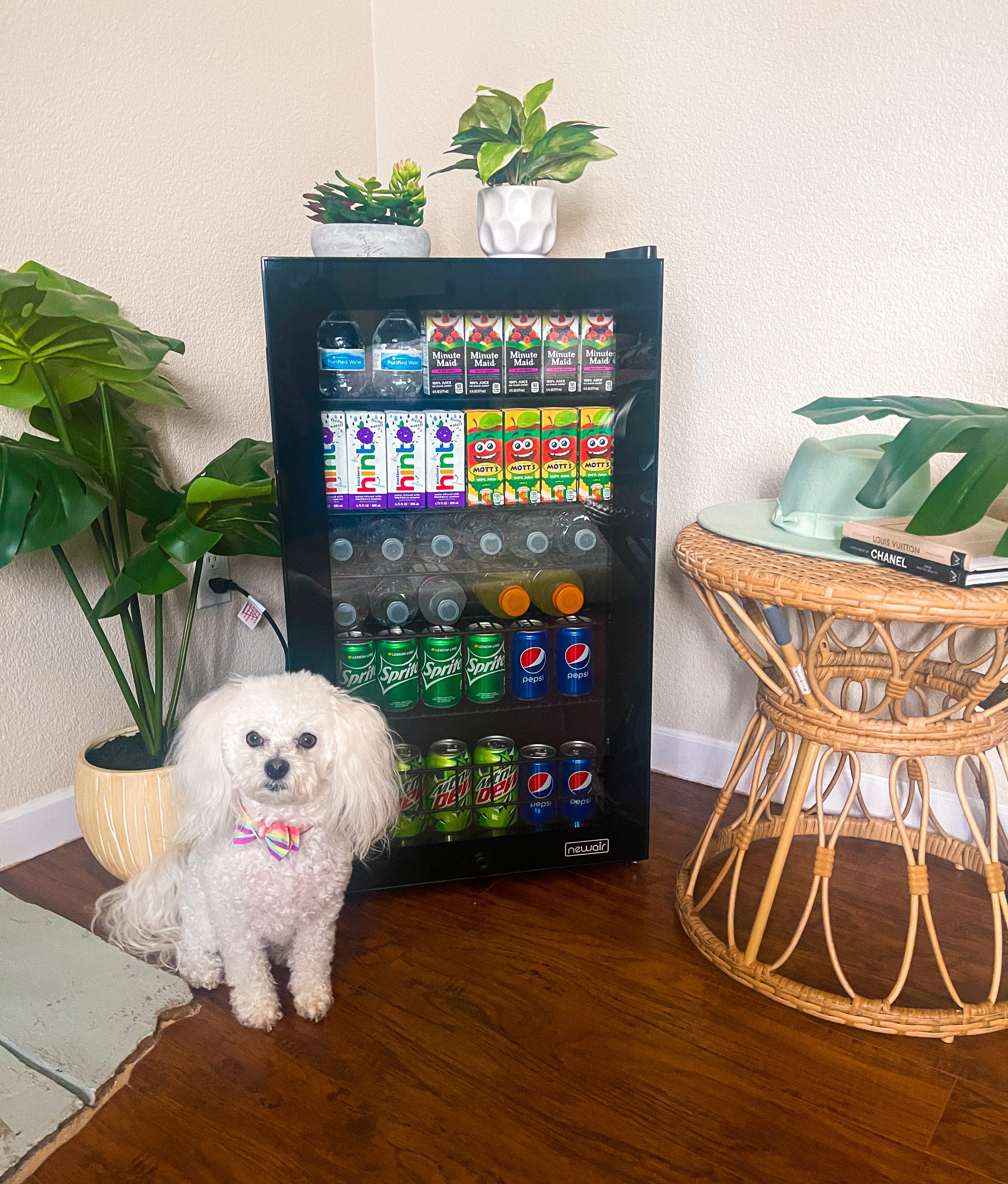 Customer carousel item 6.