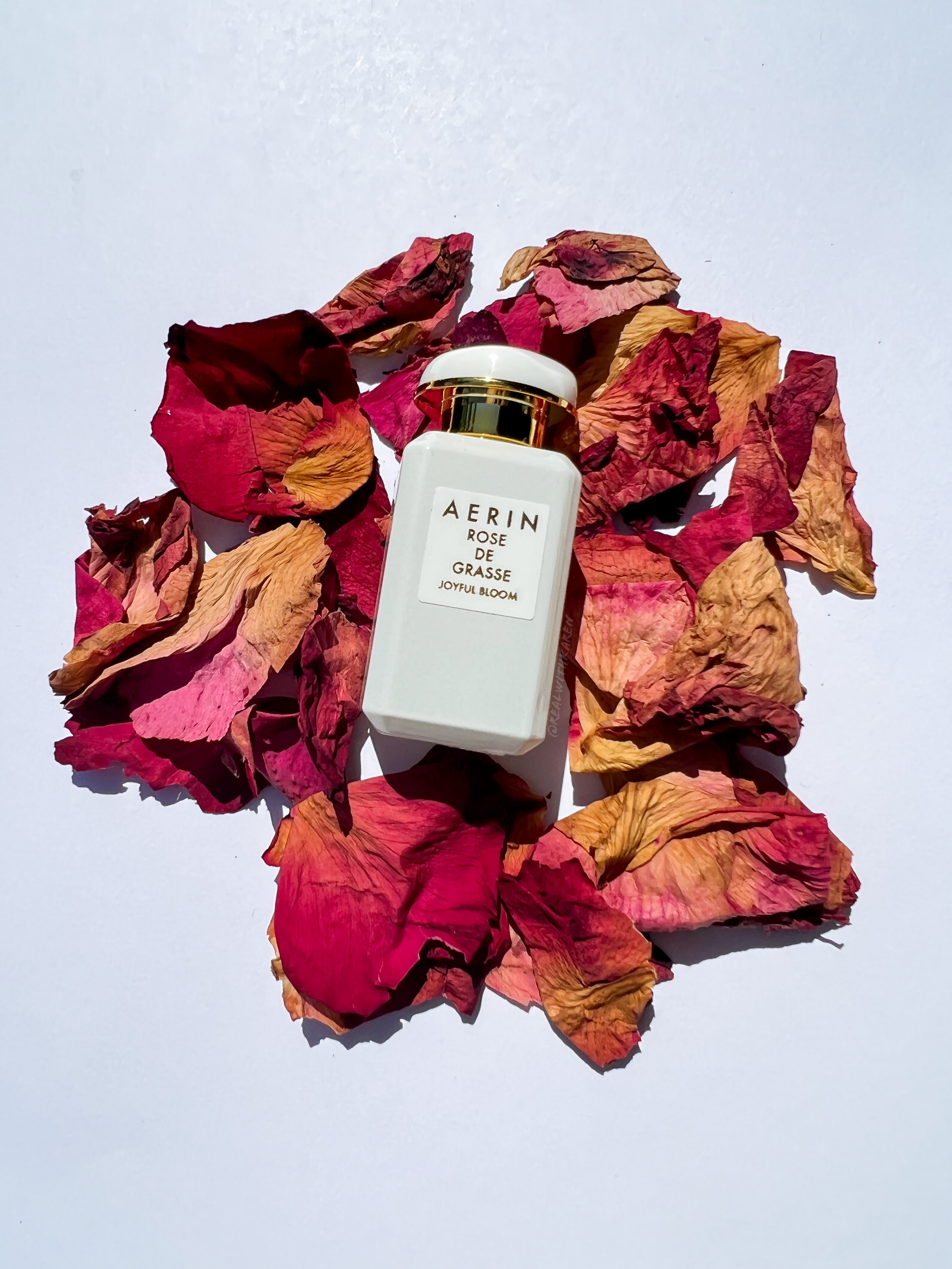 AERIN Rose De Grasse Joyful Bloom