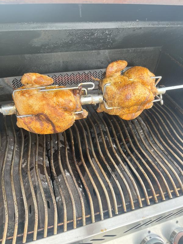 Chickens going for a spin