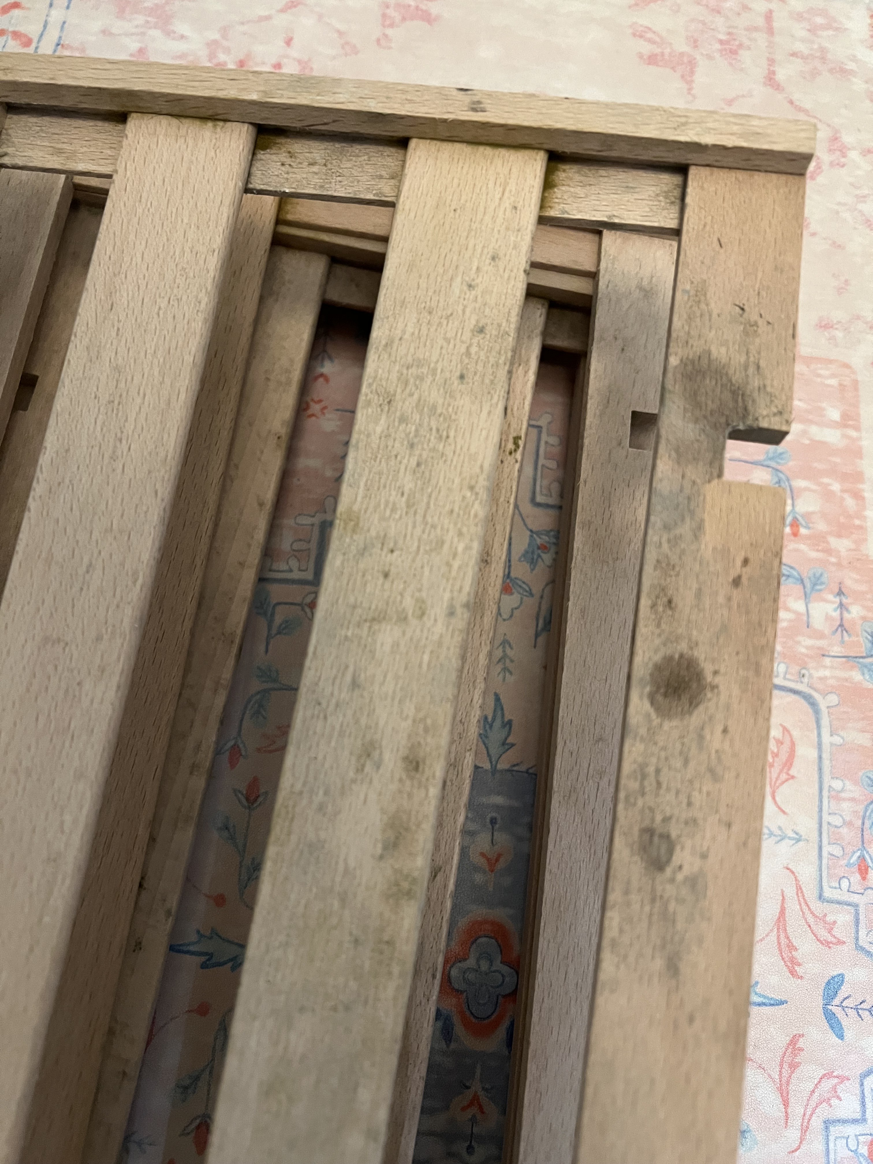 Mold On Beech Wood Shelves