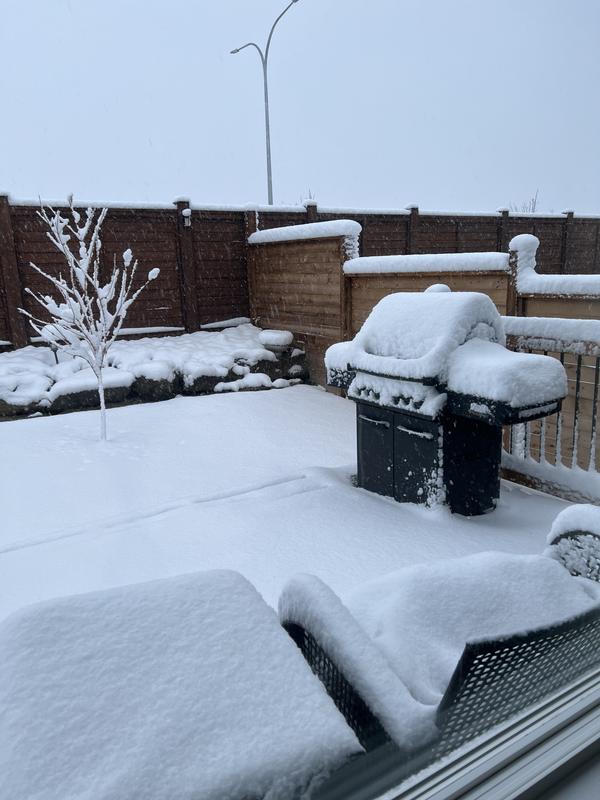 My bbq can withstand the snow and still looks awesome! :)