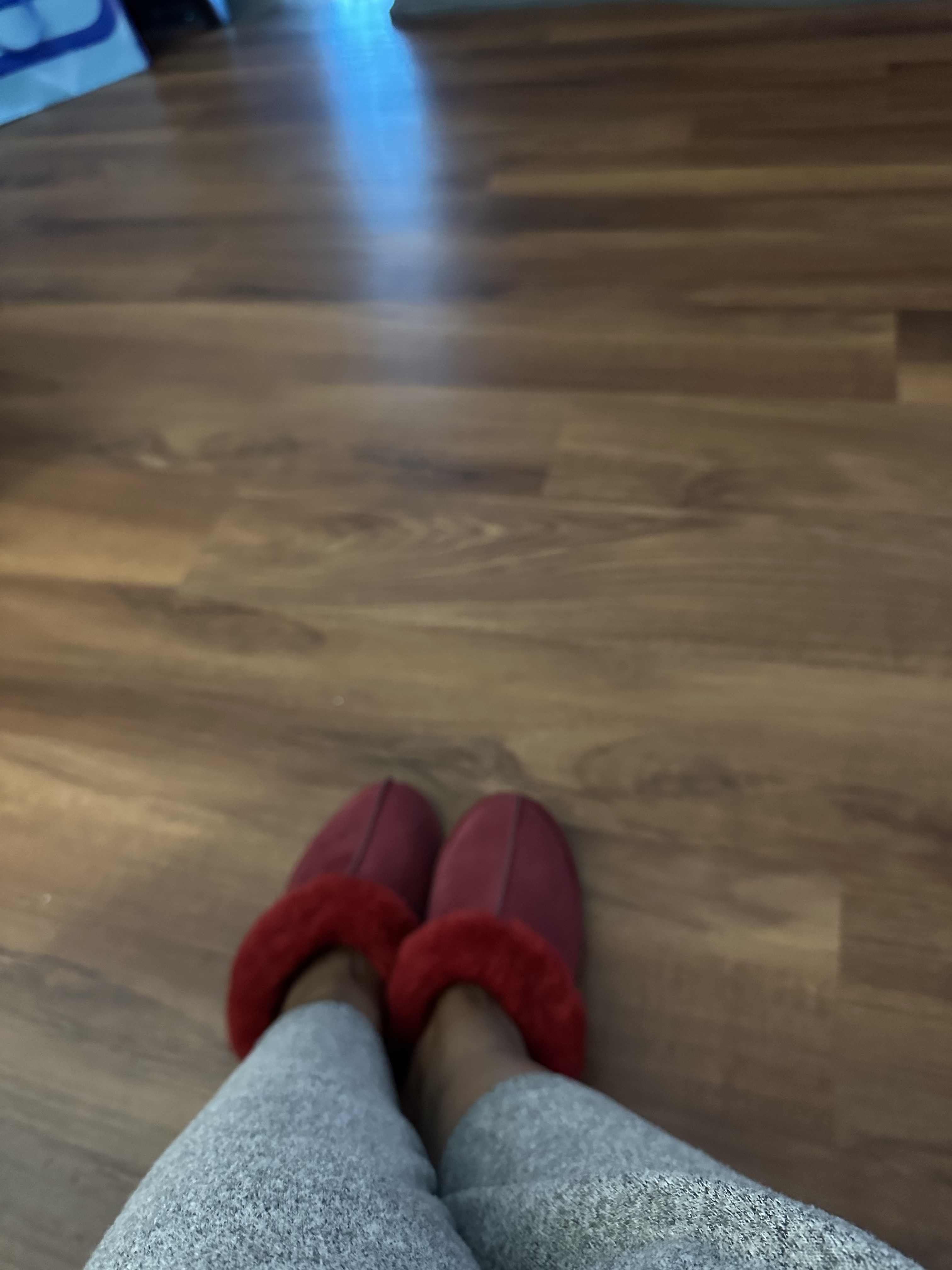 My fabulous Scuffette II slippers!!