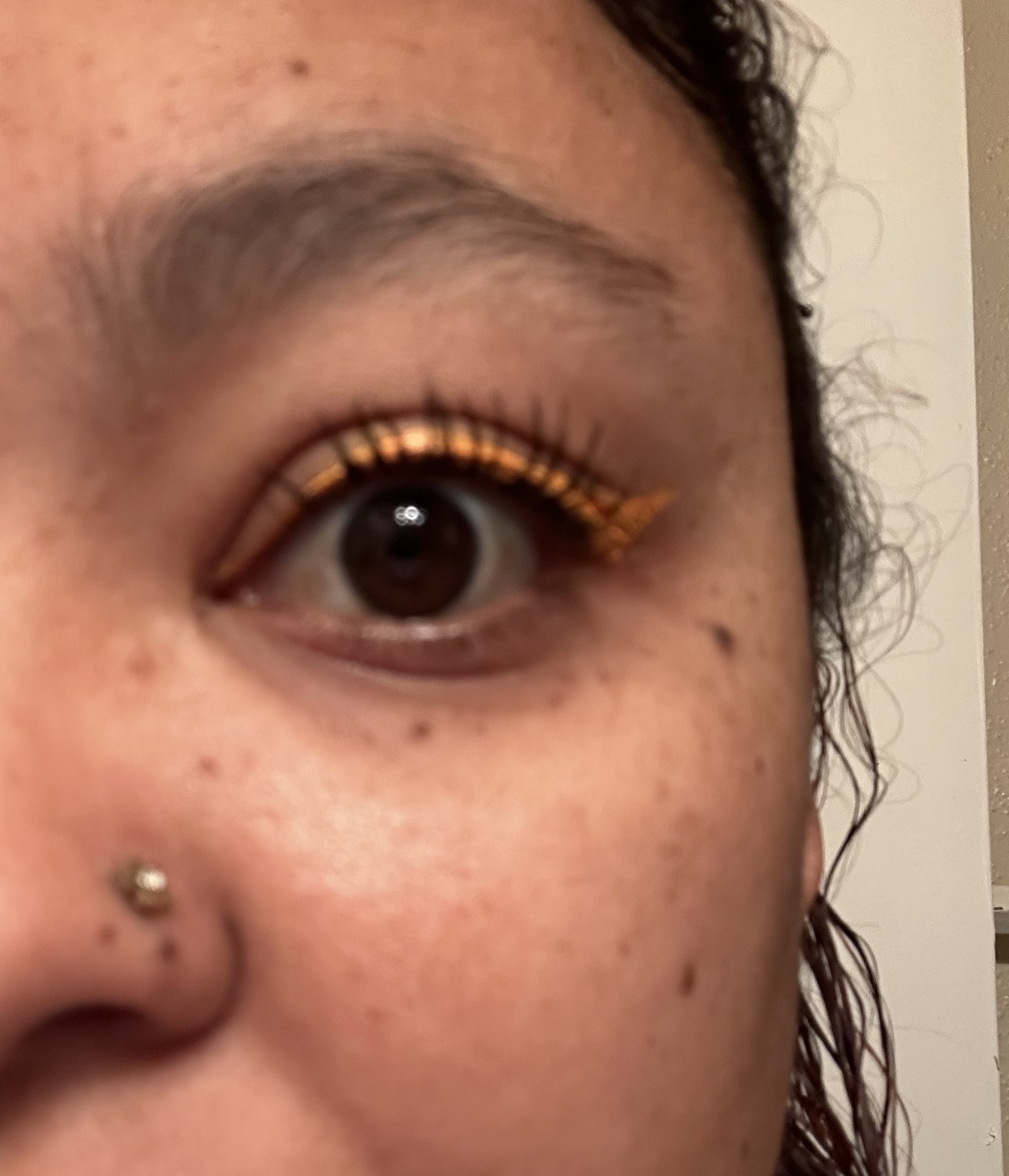 Customer carousel item 12.