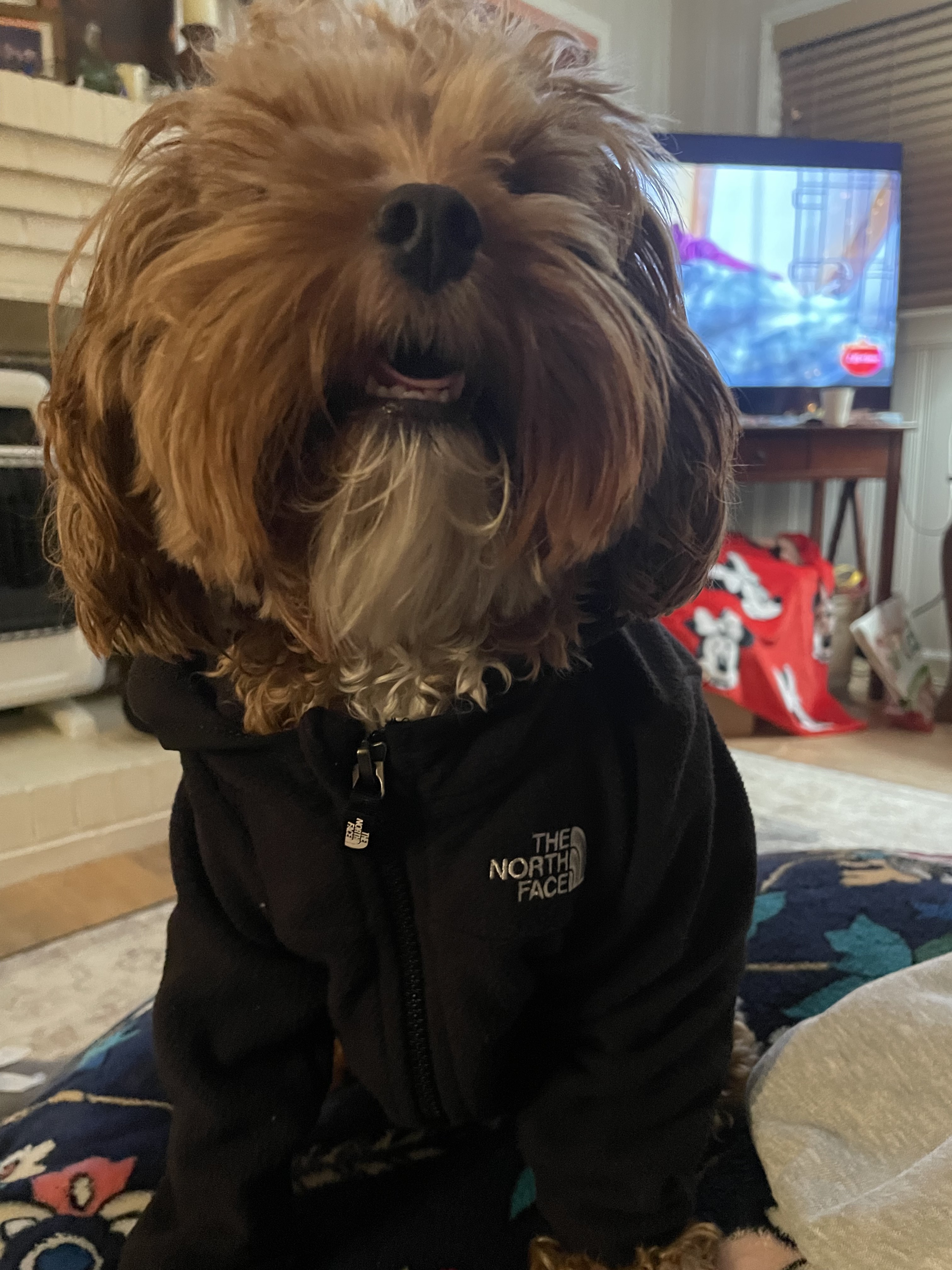 Lucy looks good in North Face