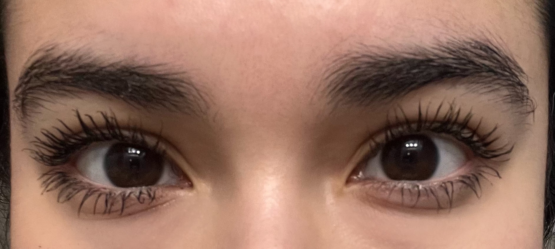 Lashes with Mascara on (2 coats)