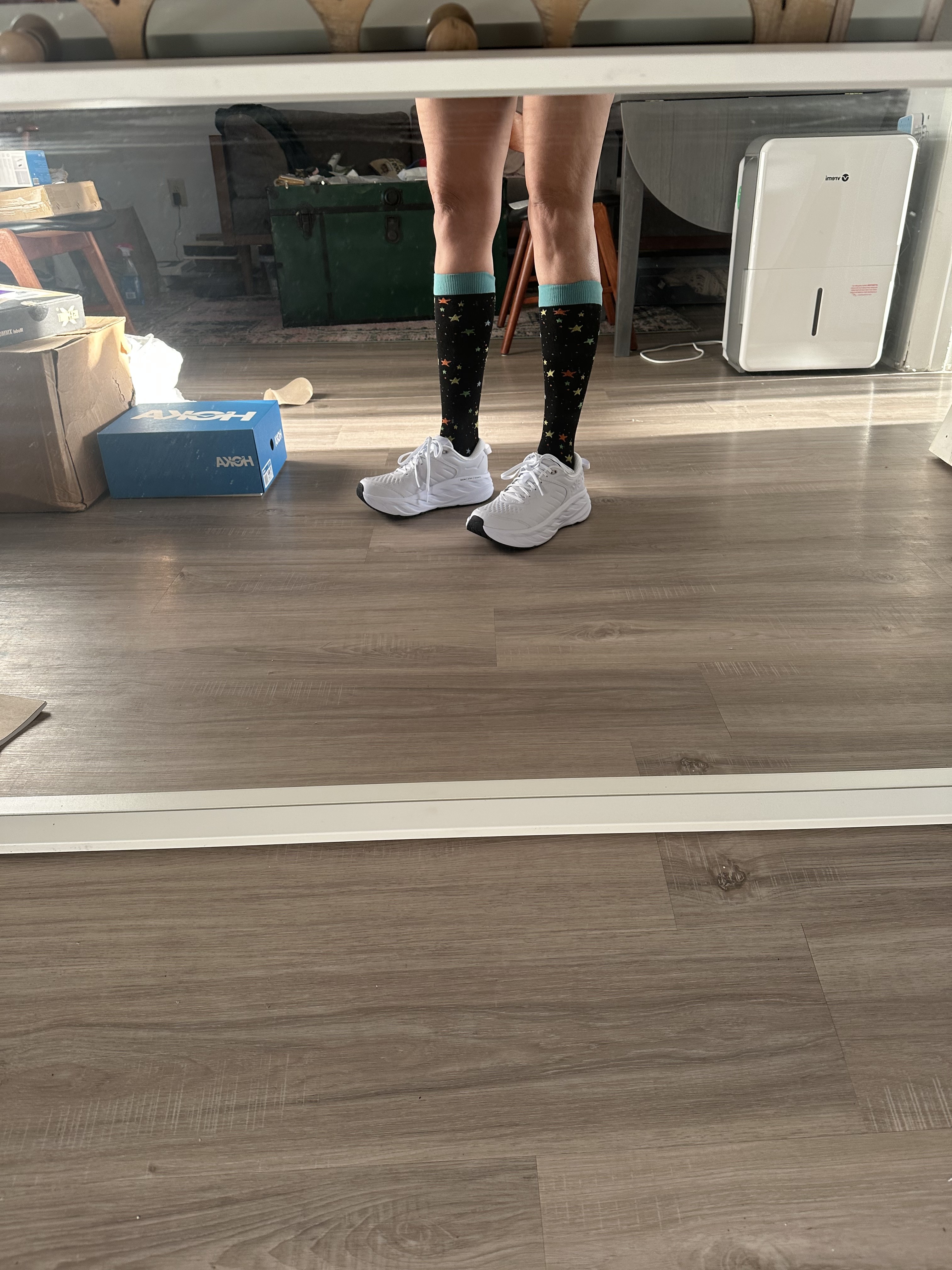 Women's Bondi Low Top Sneakers 