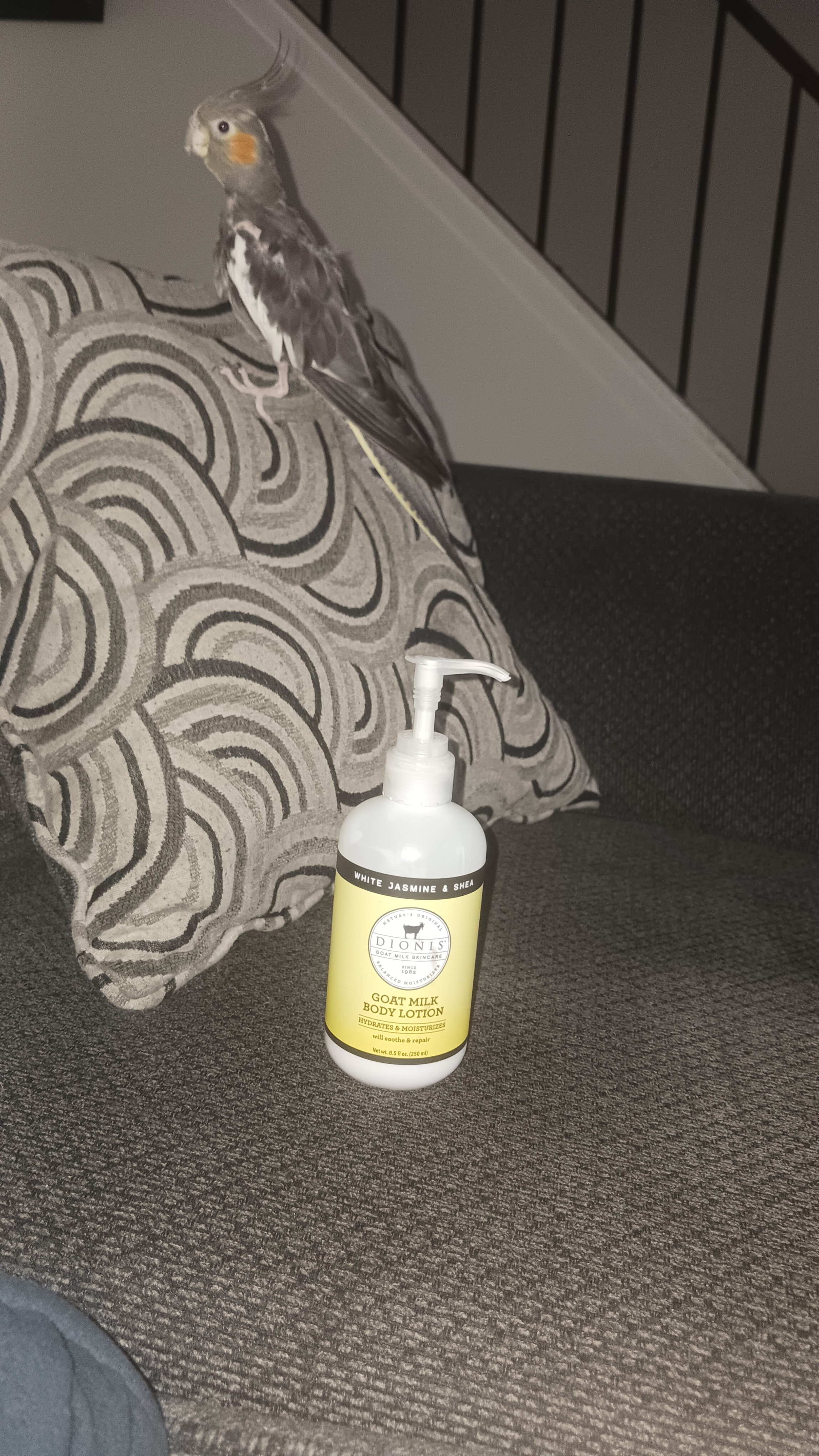 Even smokey love the smell