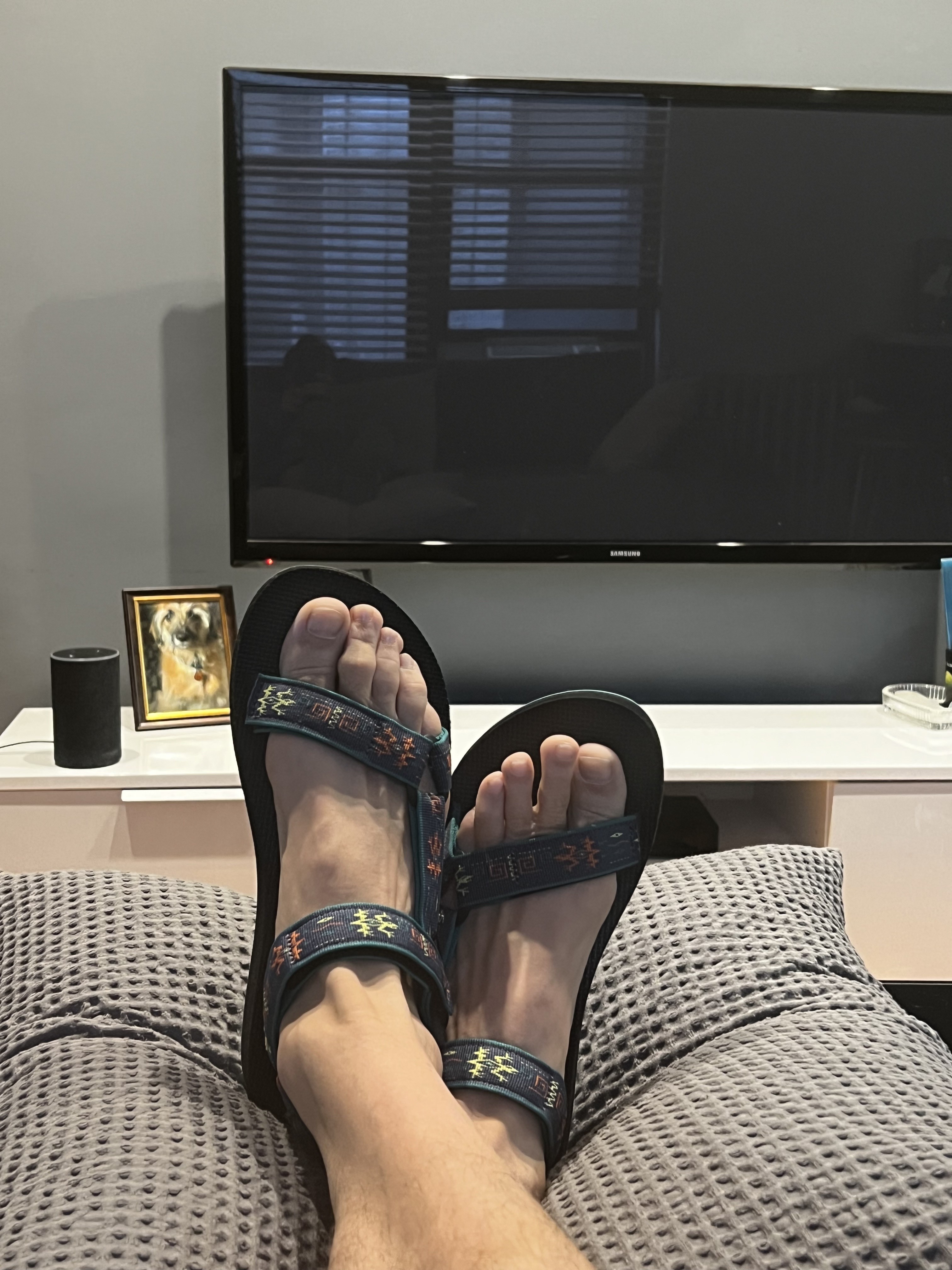 Best summer purchase.