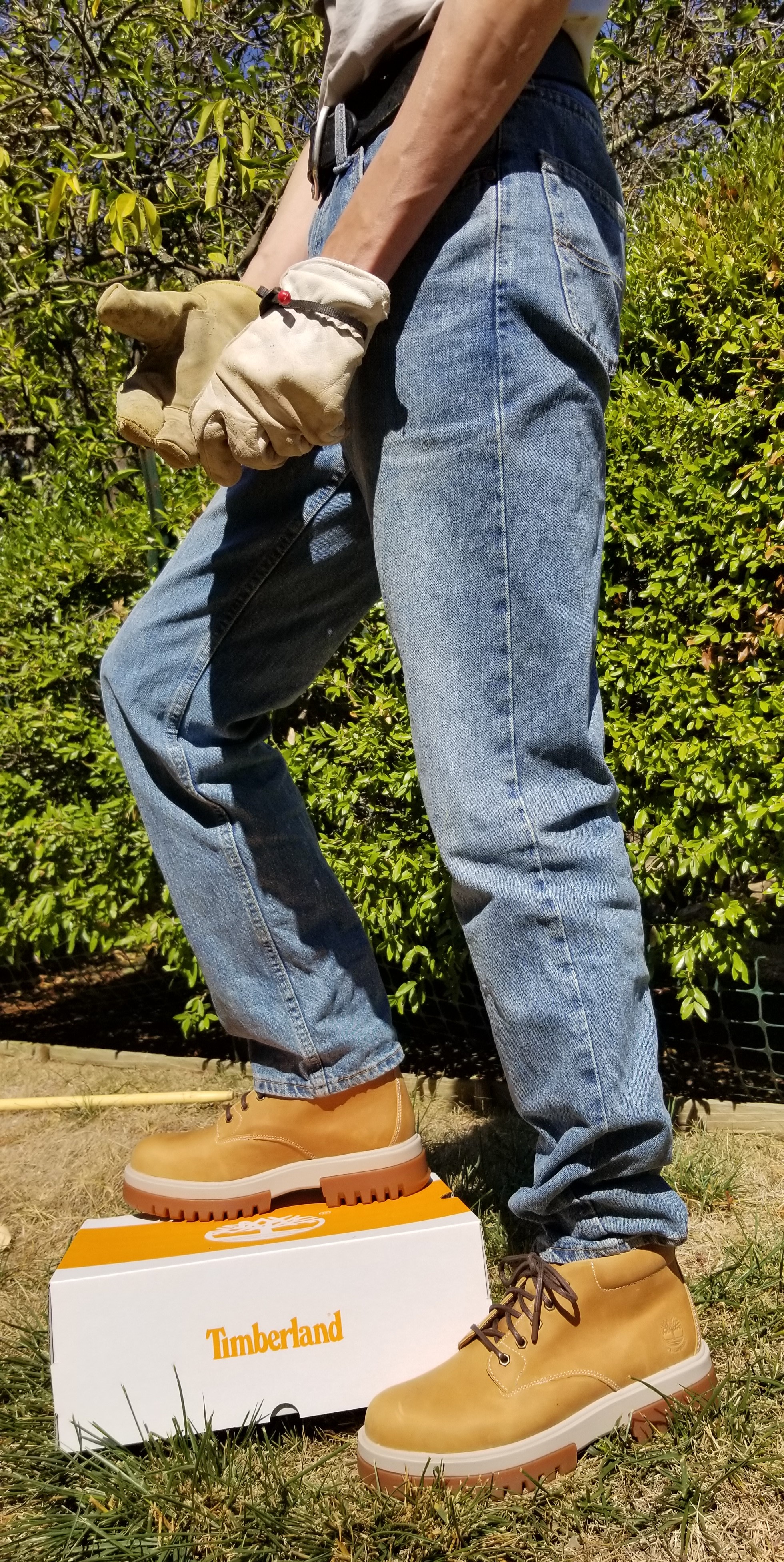 Timberland Men