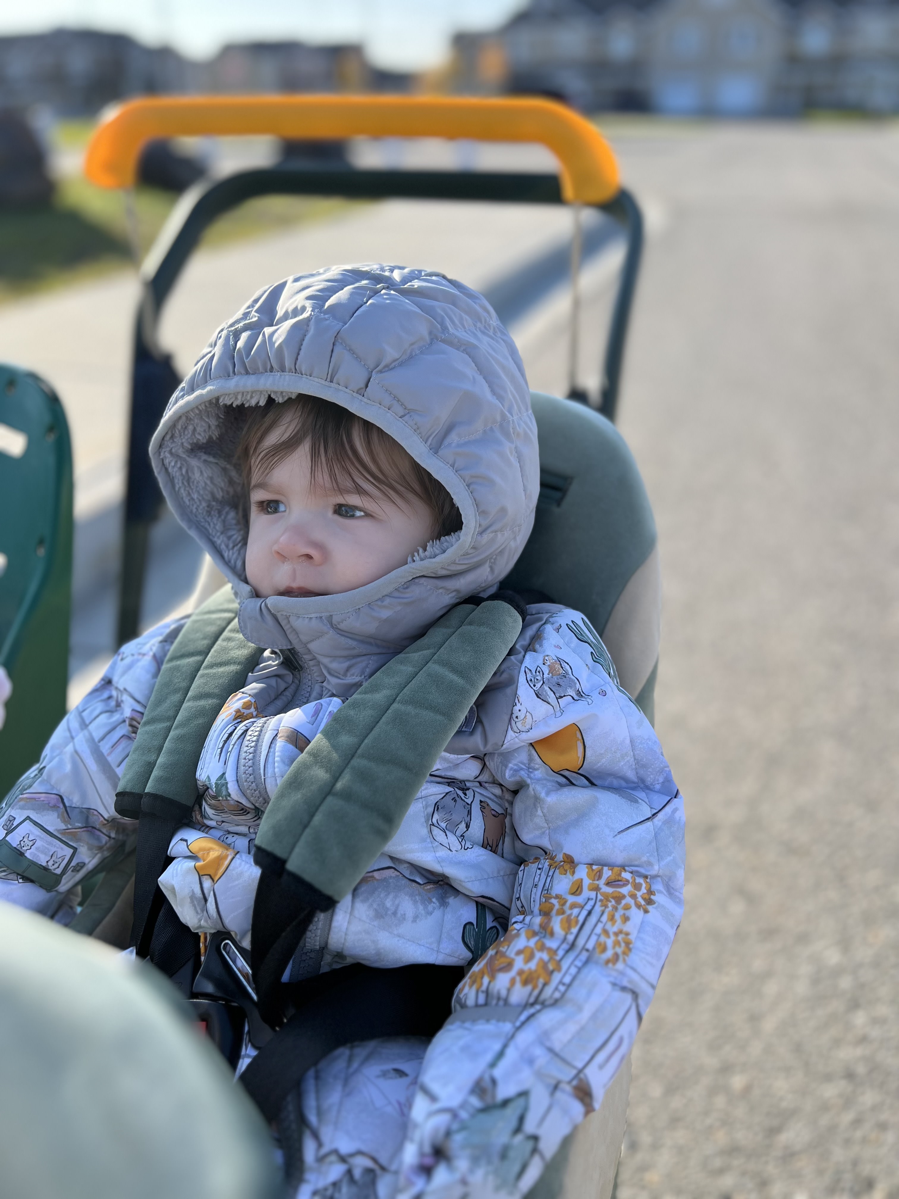 Warm as toast in Alaska's fresh air