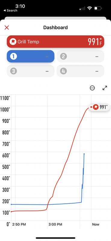 Raging inferno out of control (red line) and our ruined pork butt (blue line)