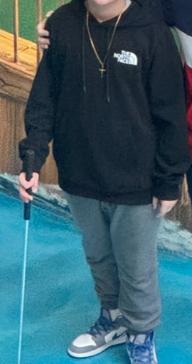 The north face hoodie