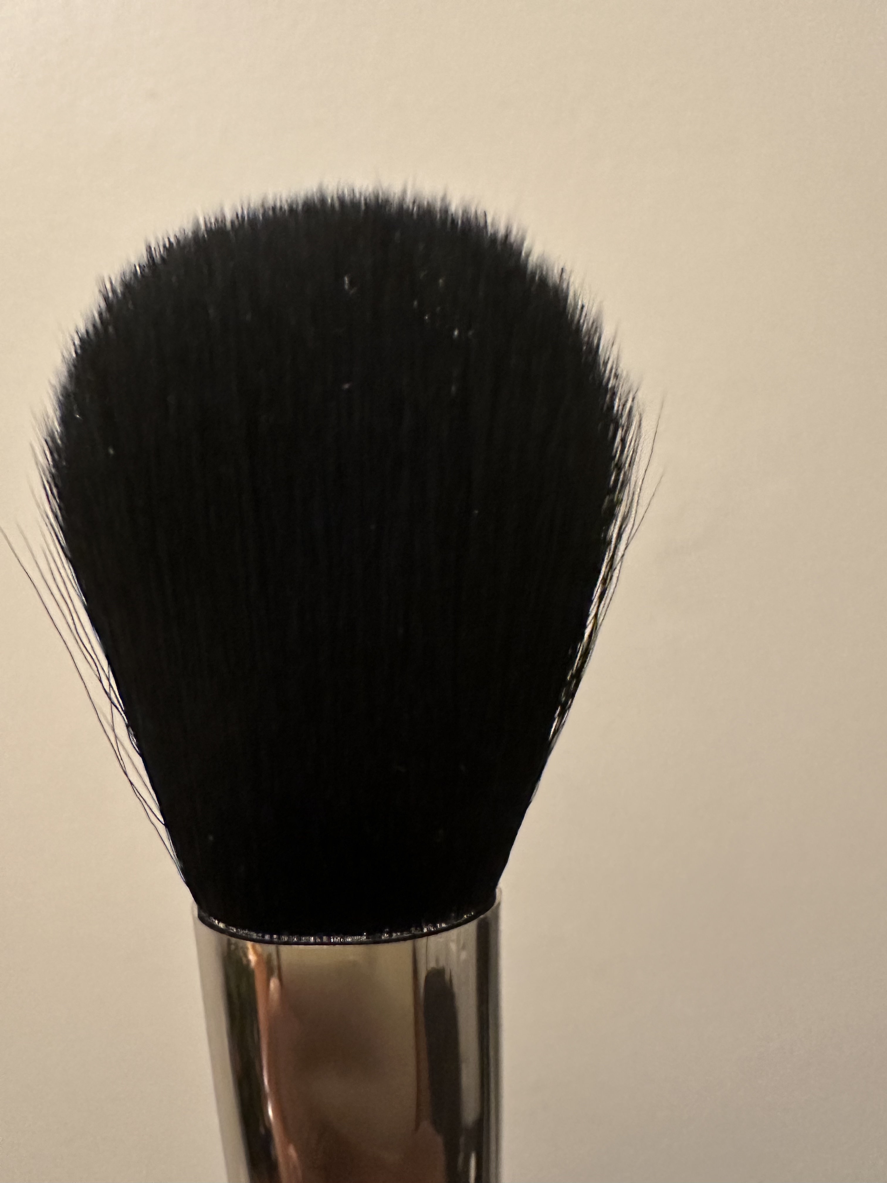 brush bristles