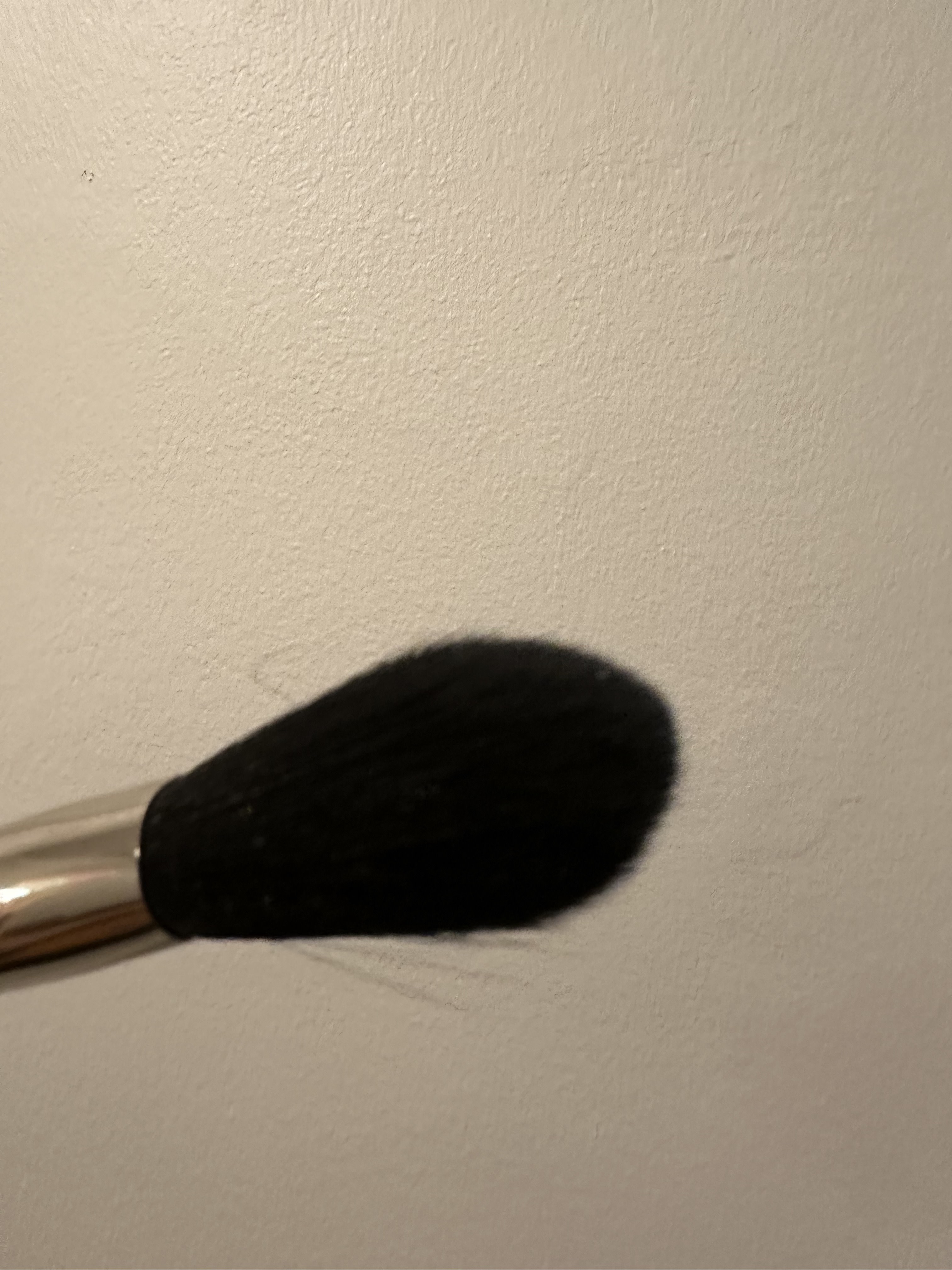 brush bristles