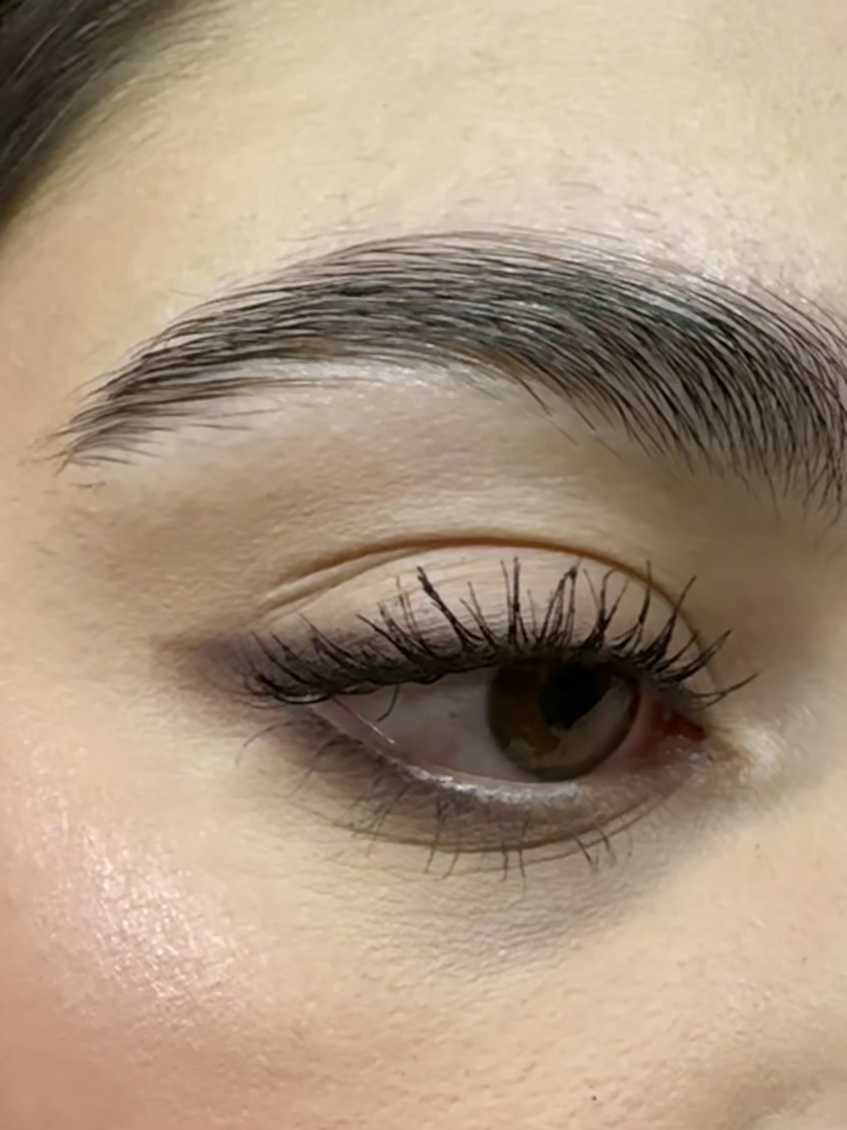 Customer carousel item 12.