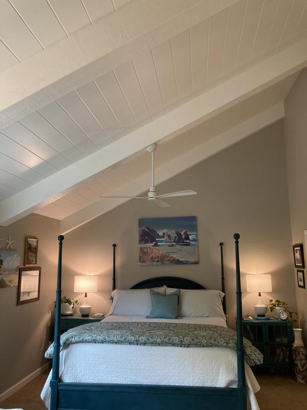 Bedroom ceiling fan