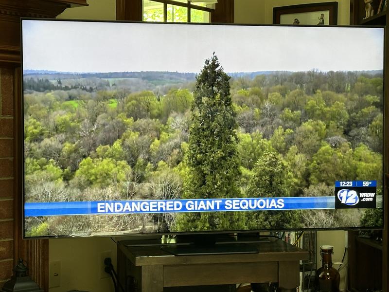 Review image send by user