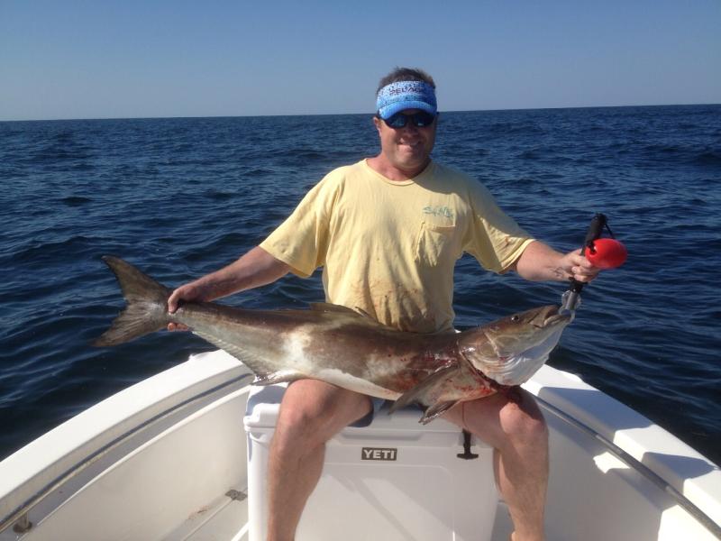 My 50 pound Cobia and my Yeti 105.