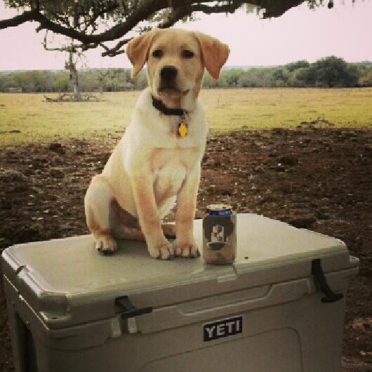 Up at 5am smoking brisket.