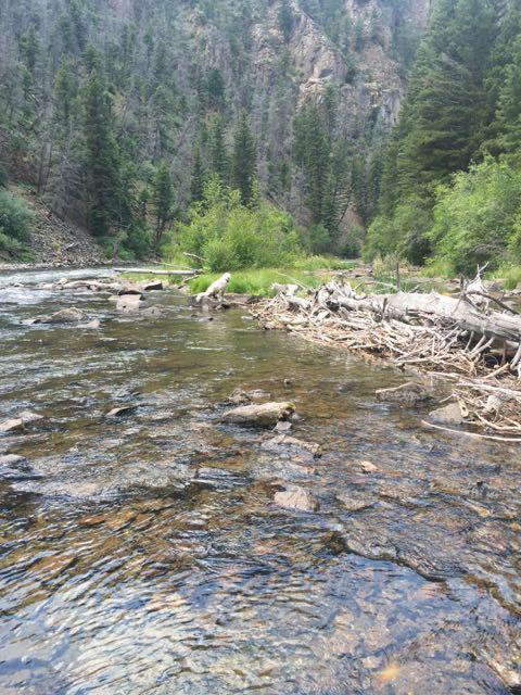 good grief he's not even looking at the camera