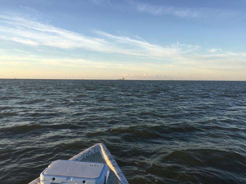 Working the birds...