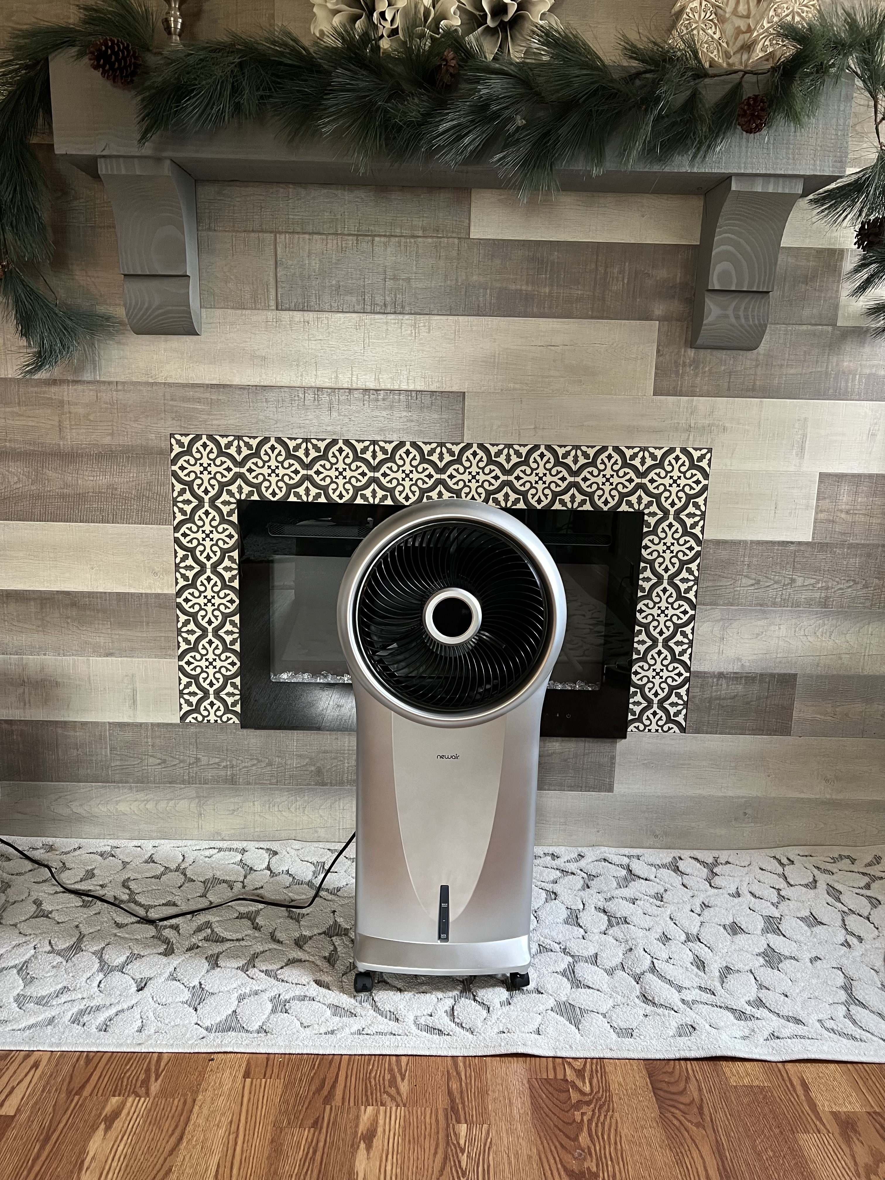 Portable air cooler
