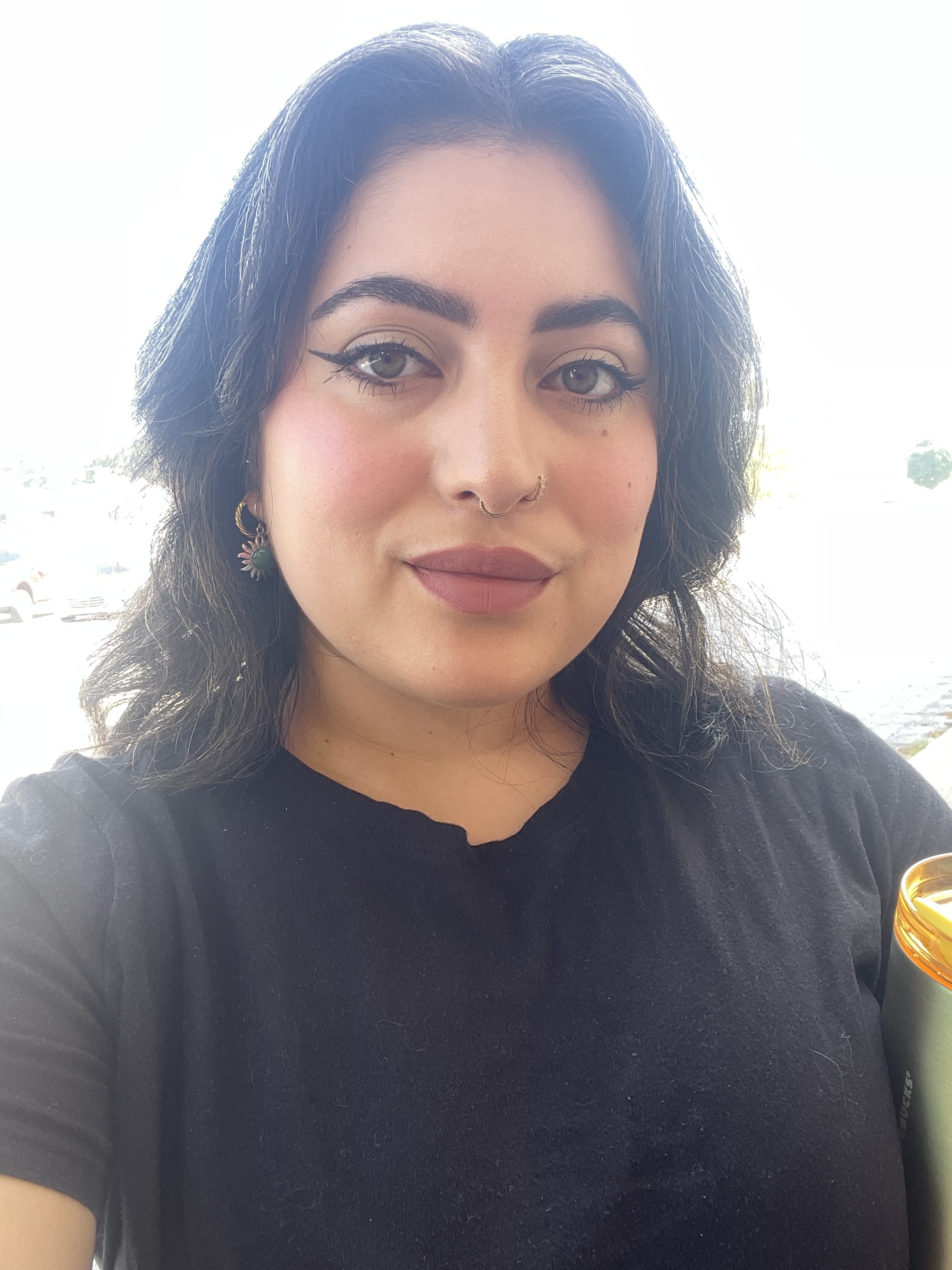 Customer carousel item 12.