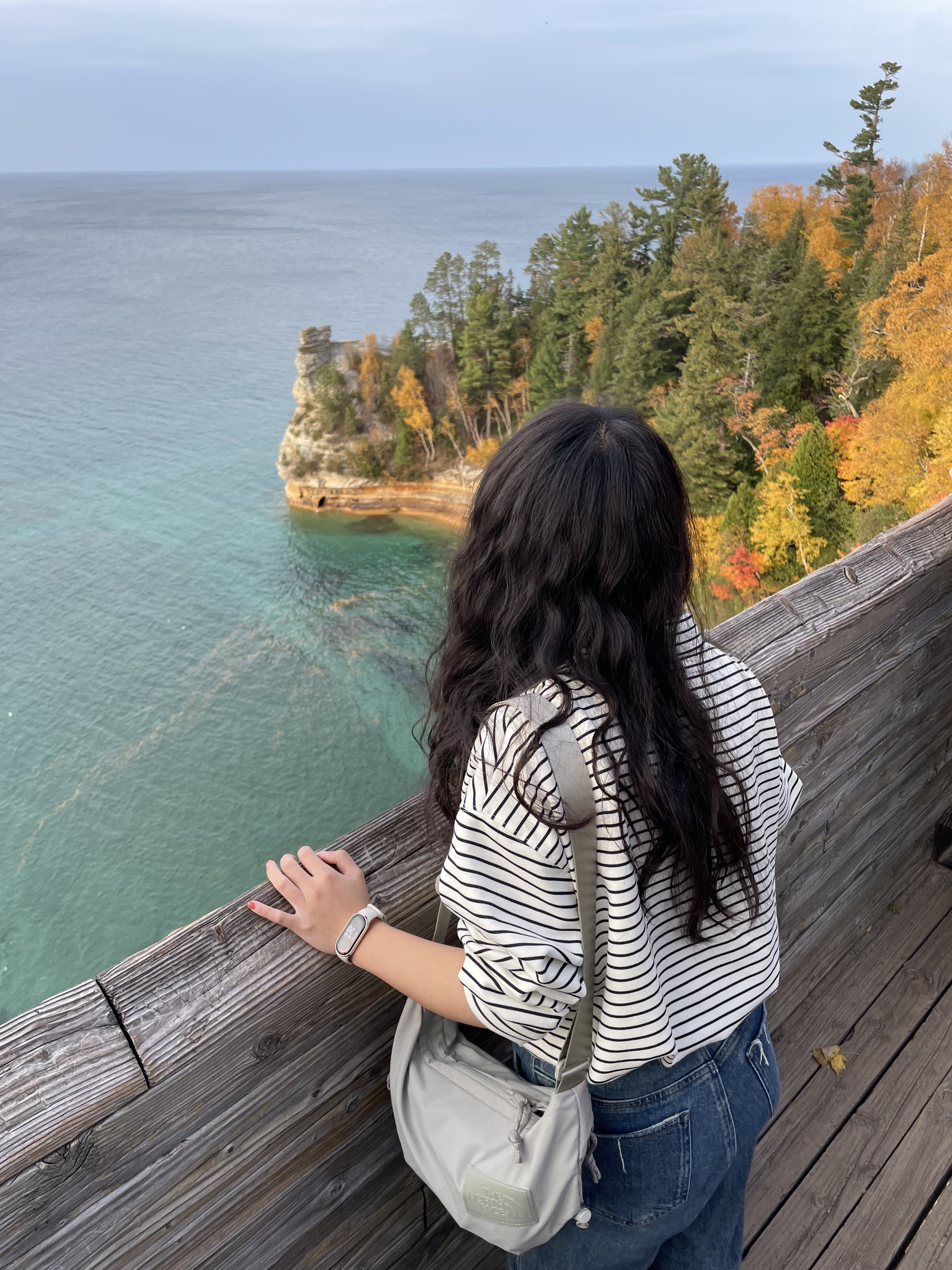 A Photo with it in Pictured Rocks Cliffs