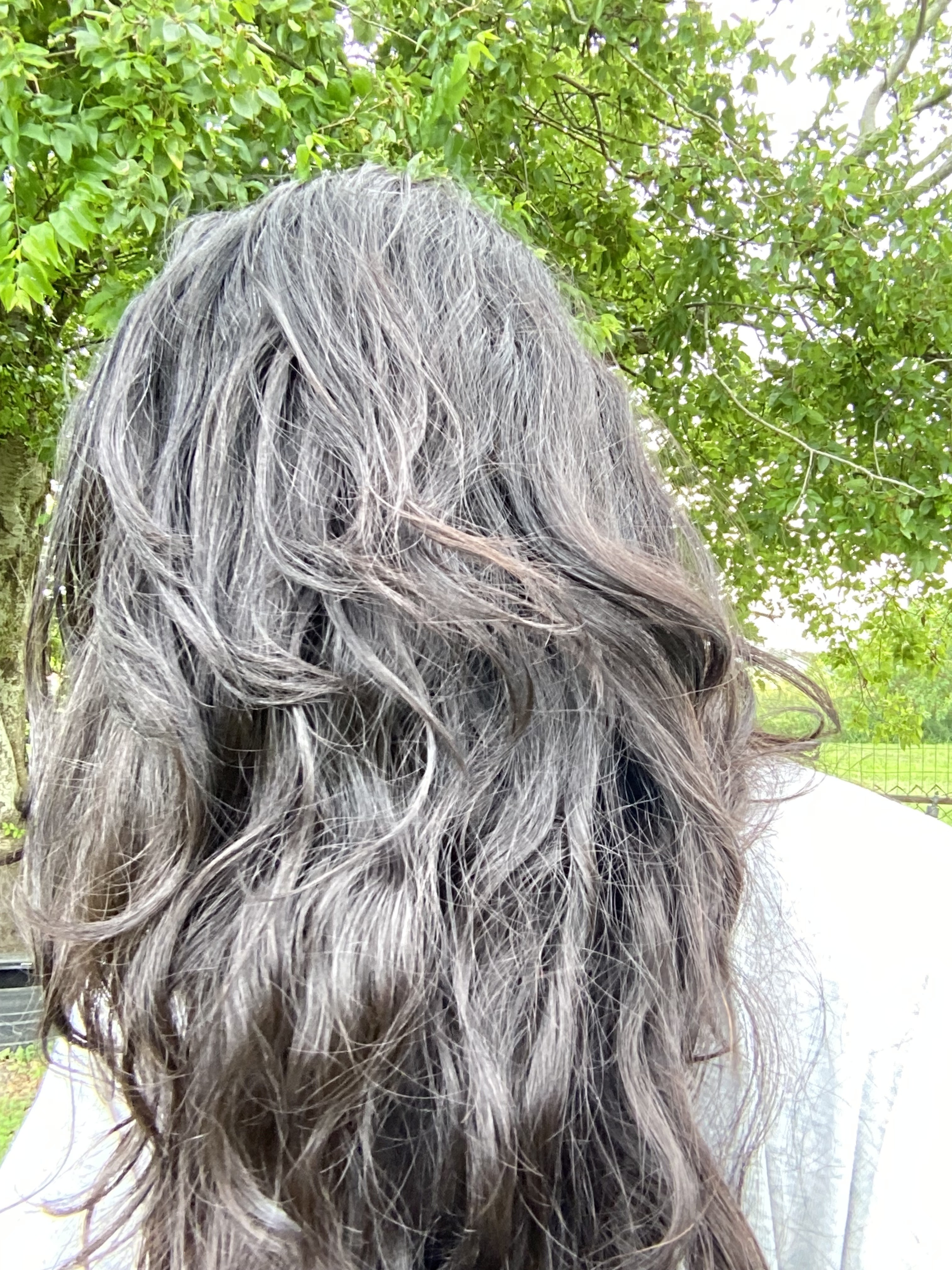 Afterwards natural drying