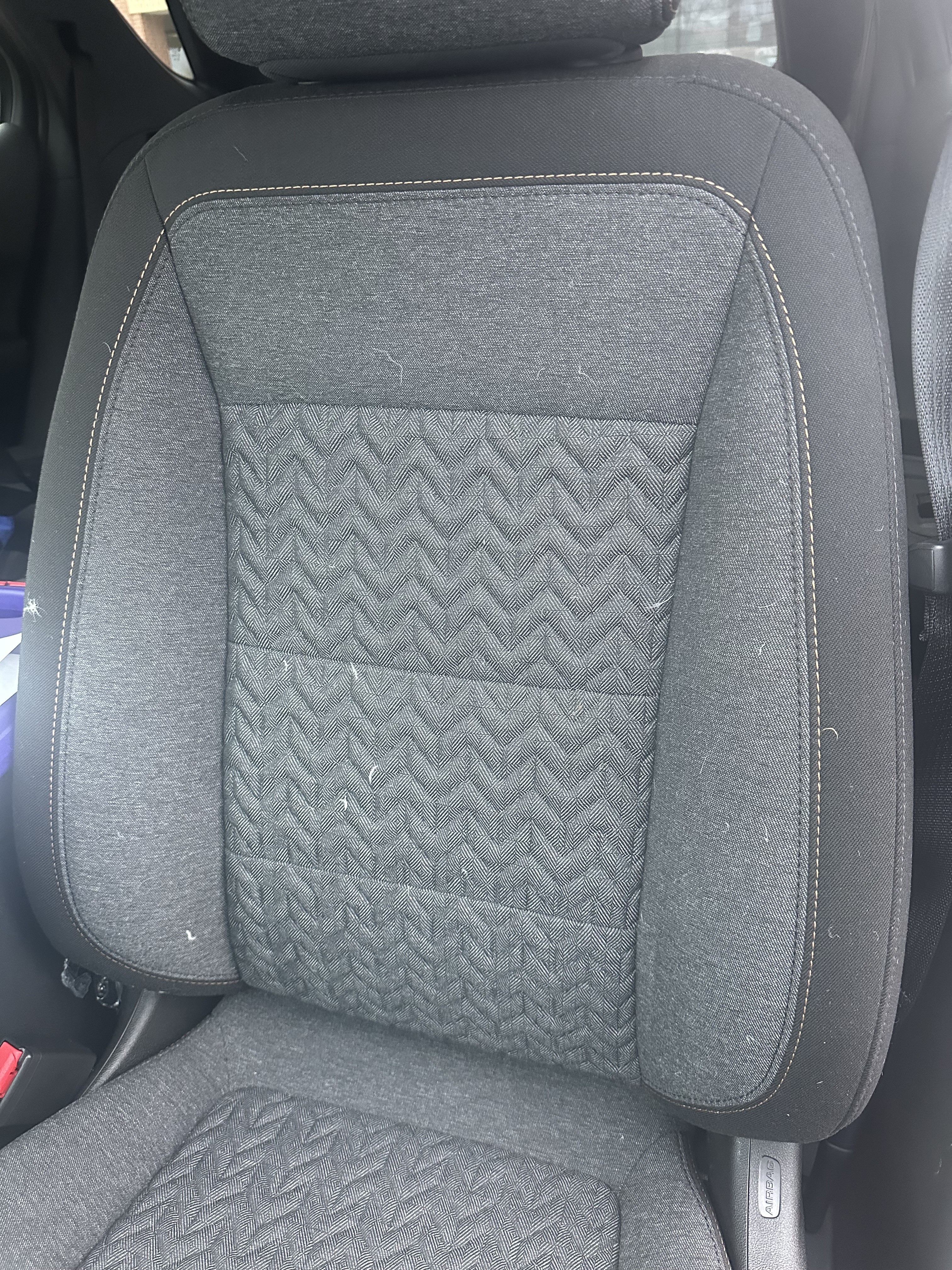 Feathers from jacket on vehicle driver's seat back {please zoom in to c🧐}