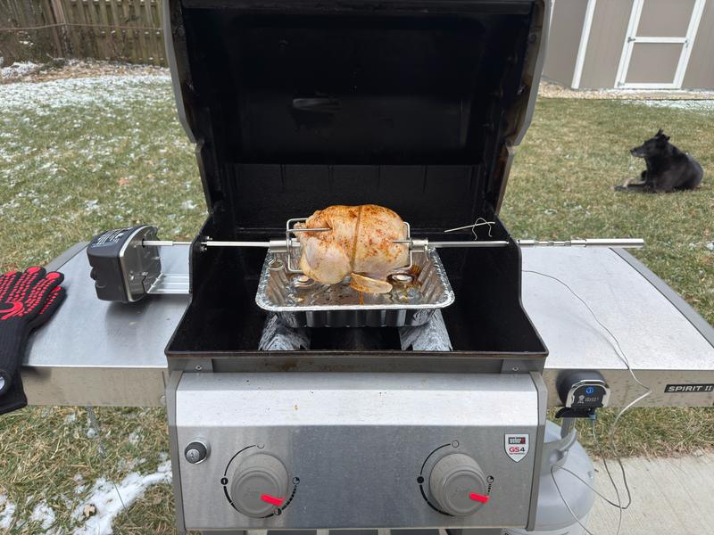 I didn't truss as well as I should have. The supervisor (doggo) gaurded the grill for the full 90 minutes!