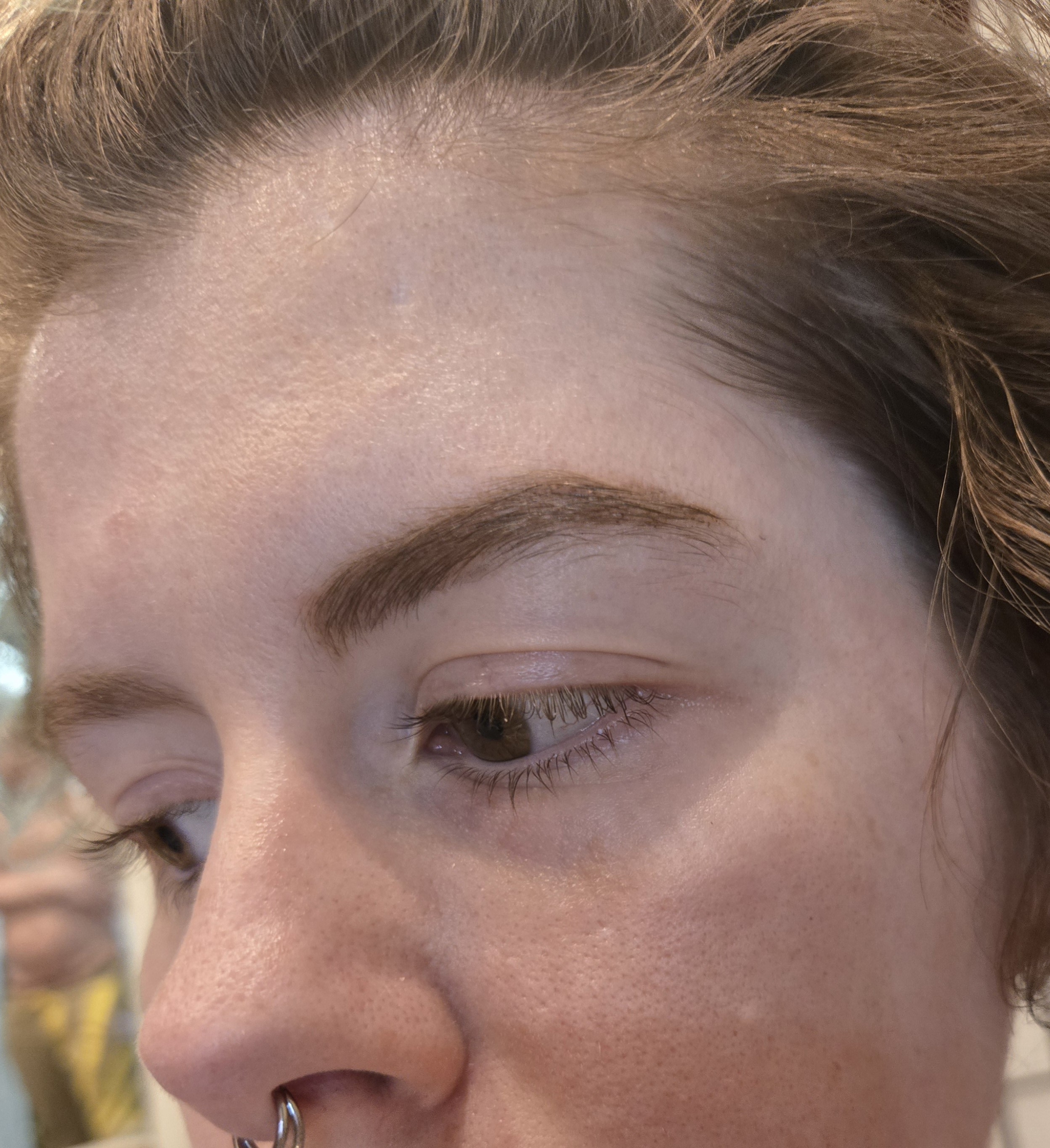 Universal Red and Warm Dark Brown