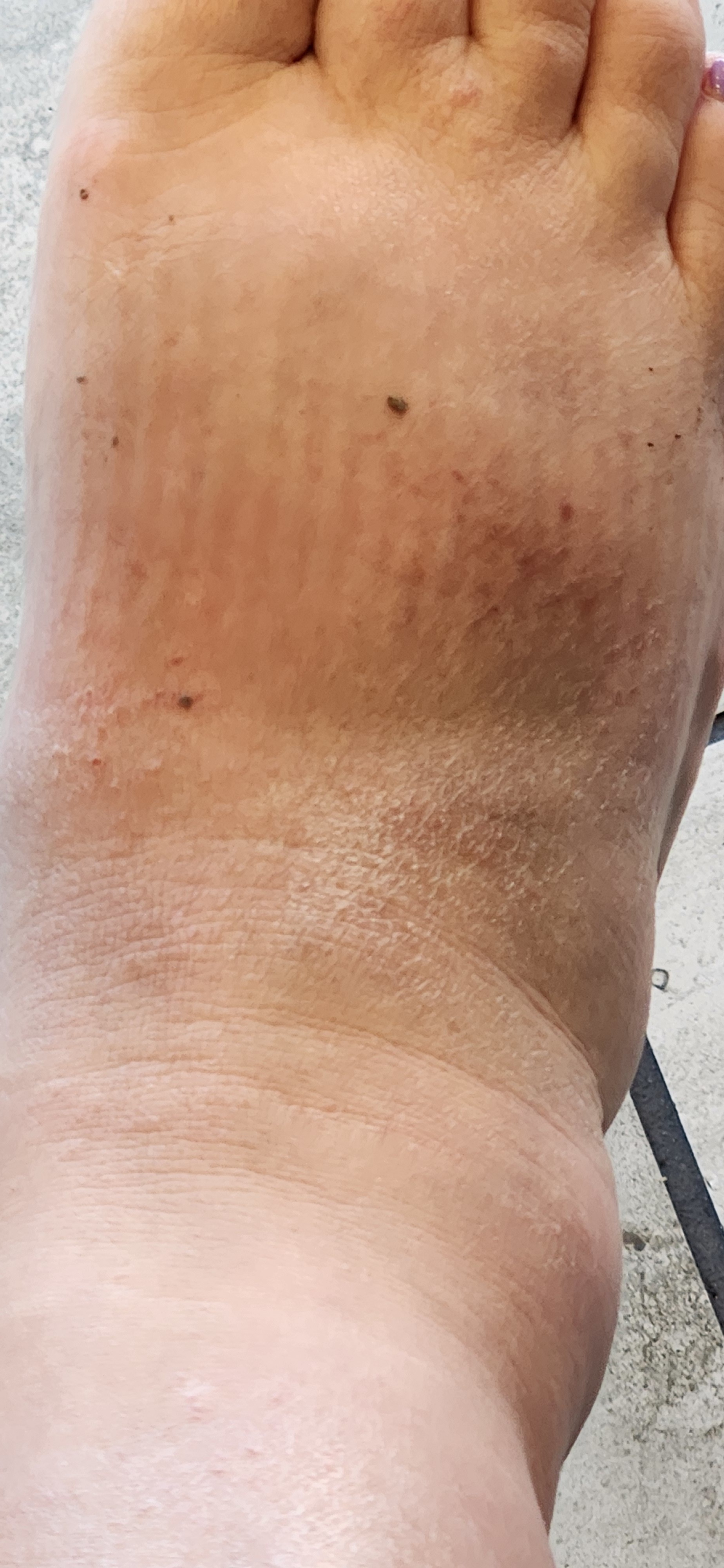 Customer carousel item 4.