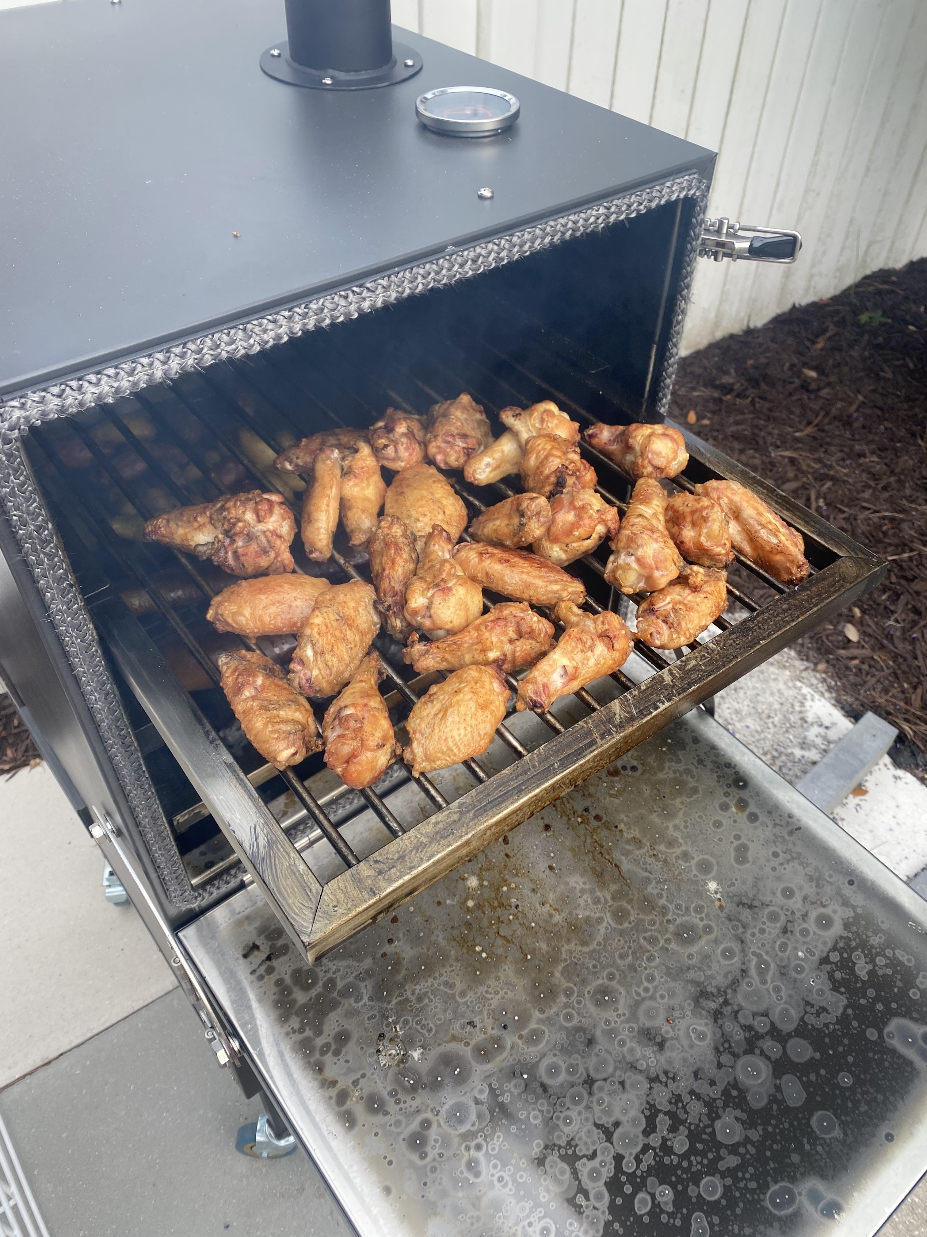 Maiden voyage wings.