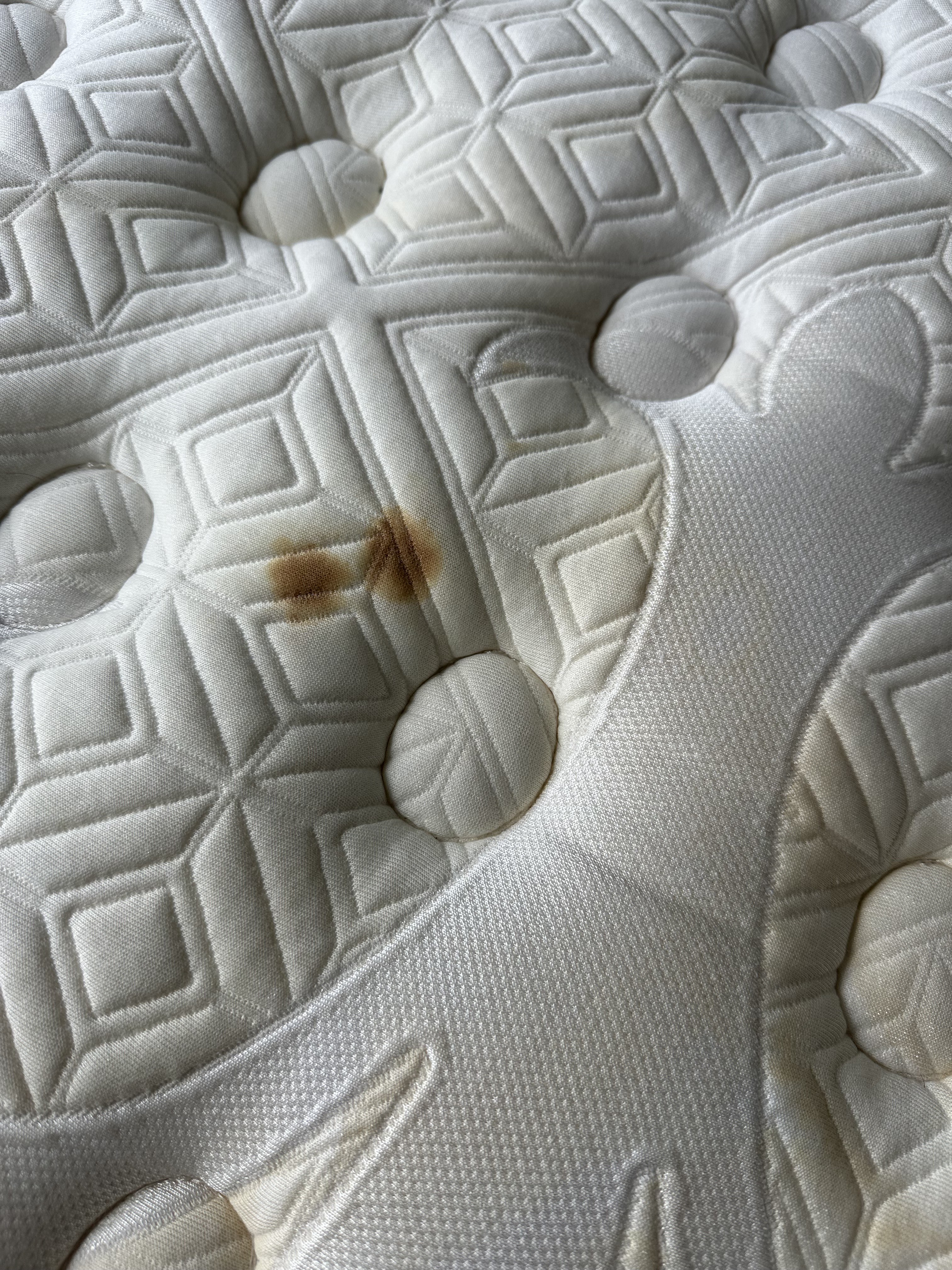 Customer carousel item 8.