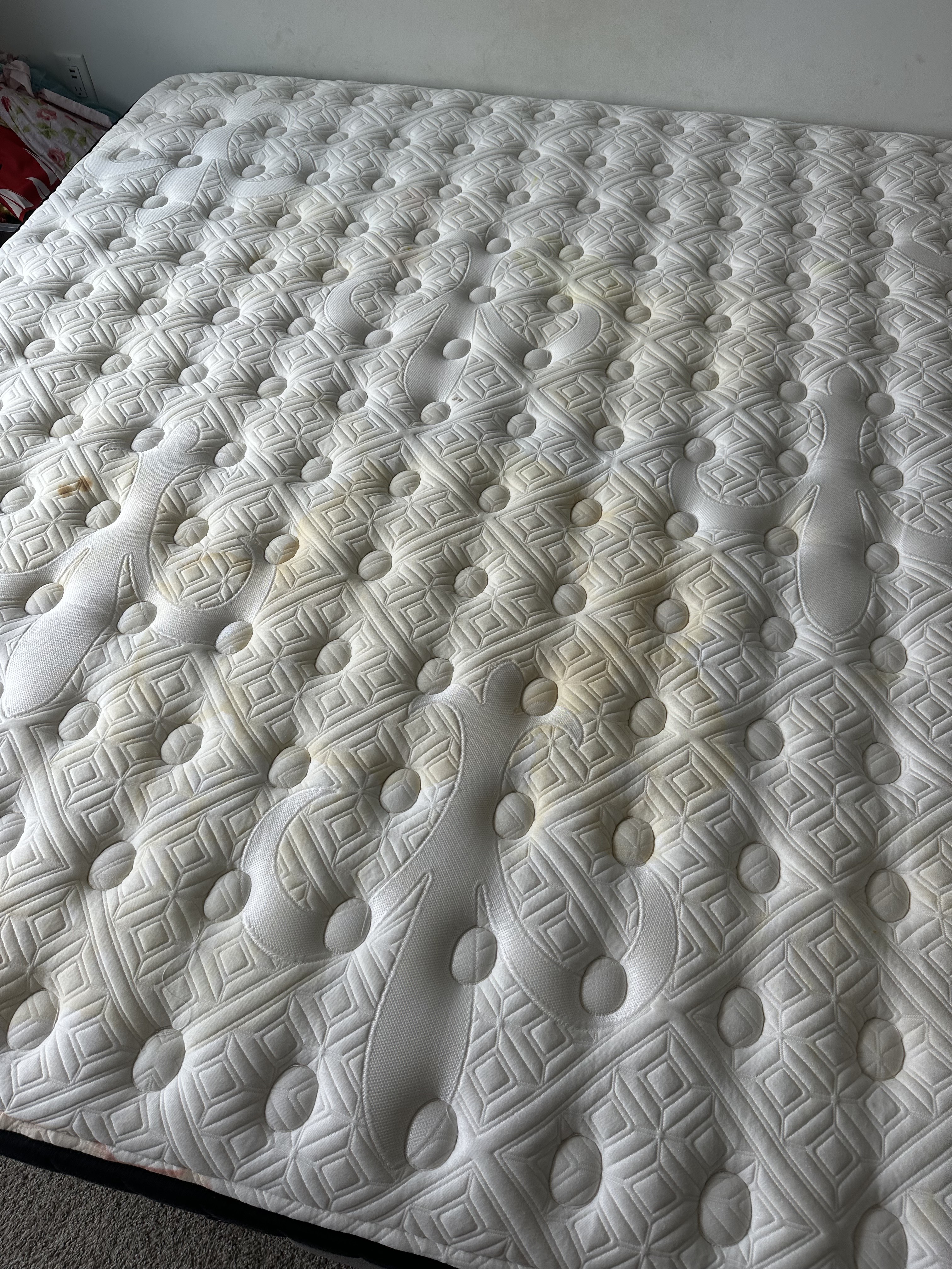 Customer carousel item 7.